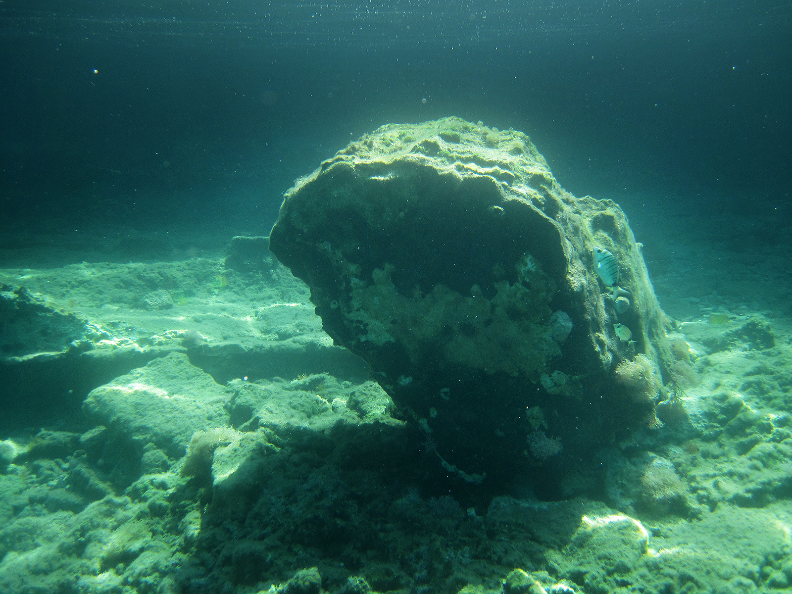 underwater beach rock