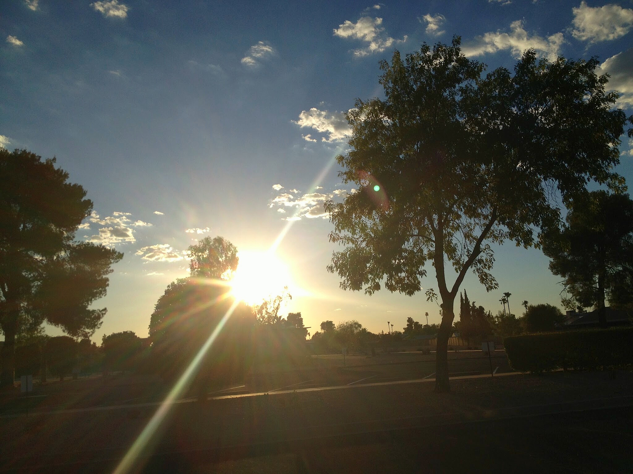 早上好写一篇关于早晨的短文