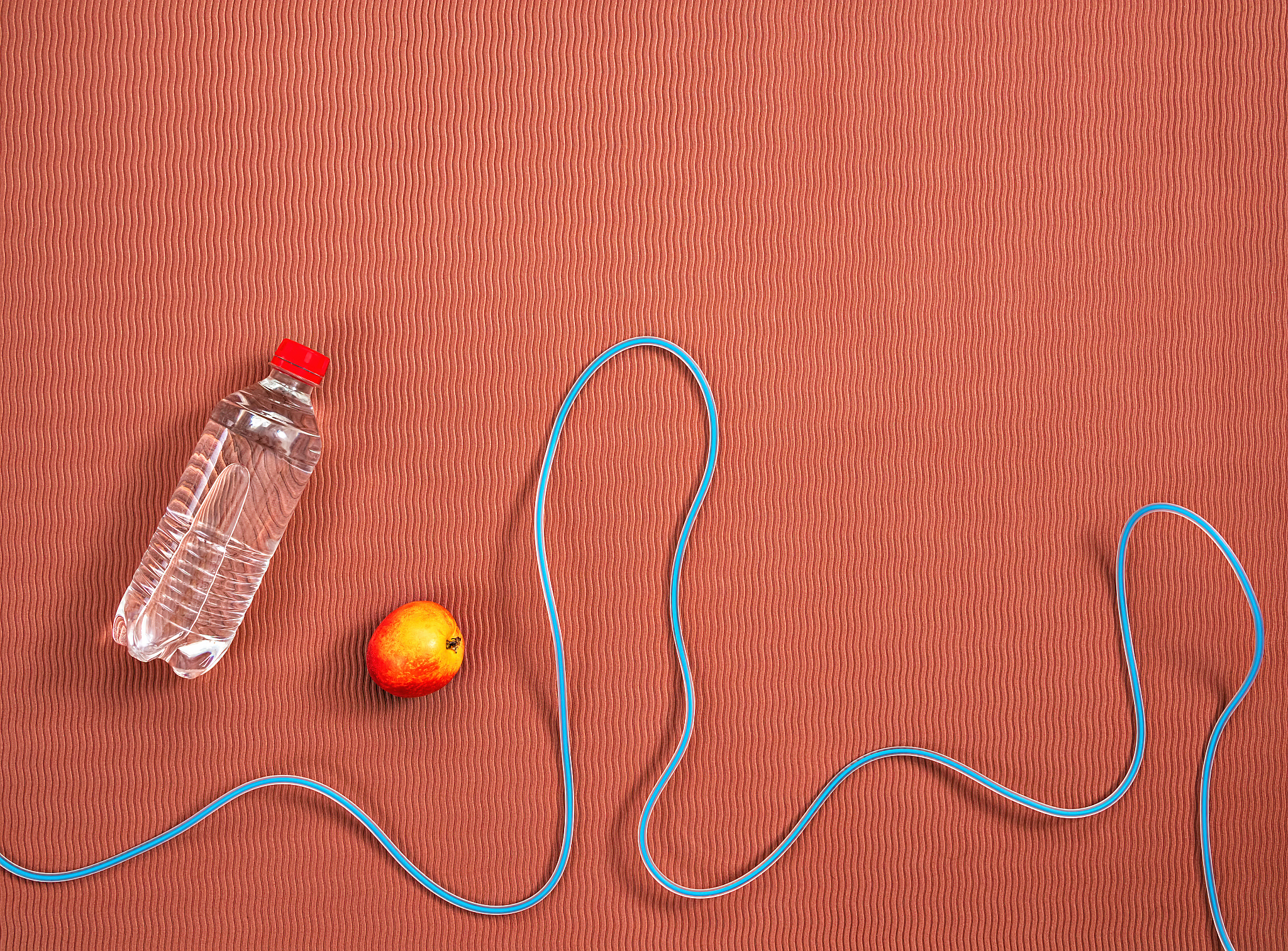 3请举例阐述如何养成终身锻炼的习惯