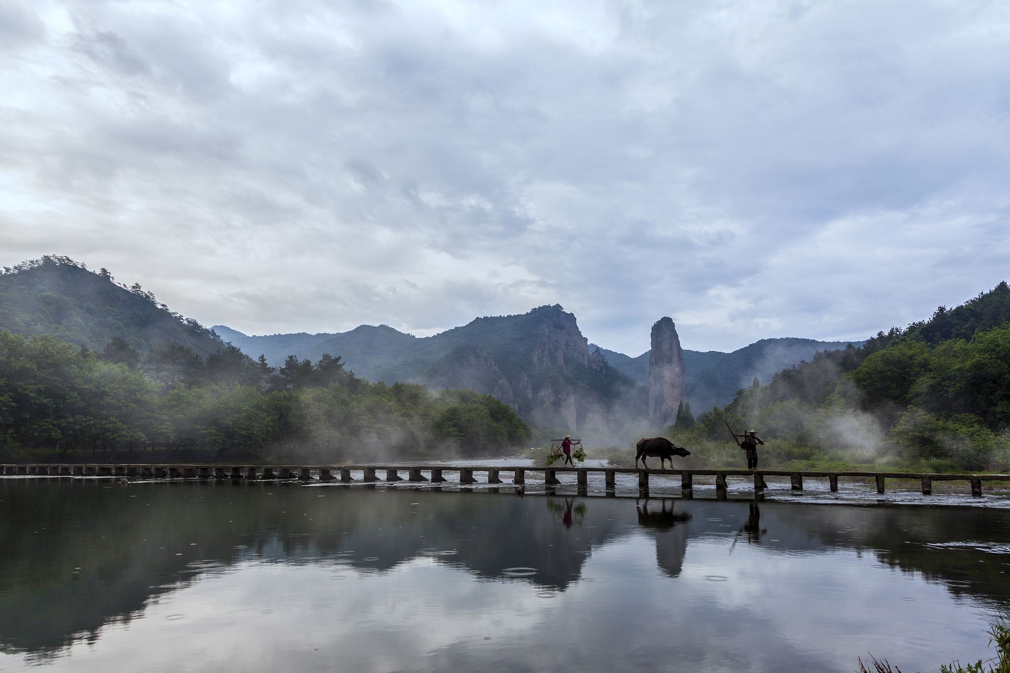 关于丽水 写三条评论