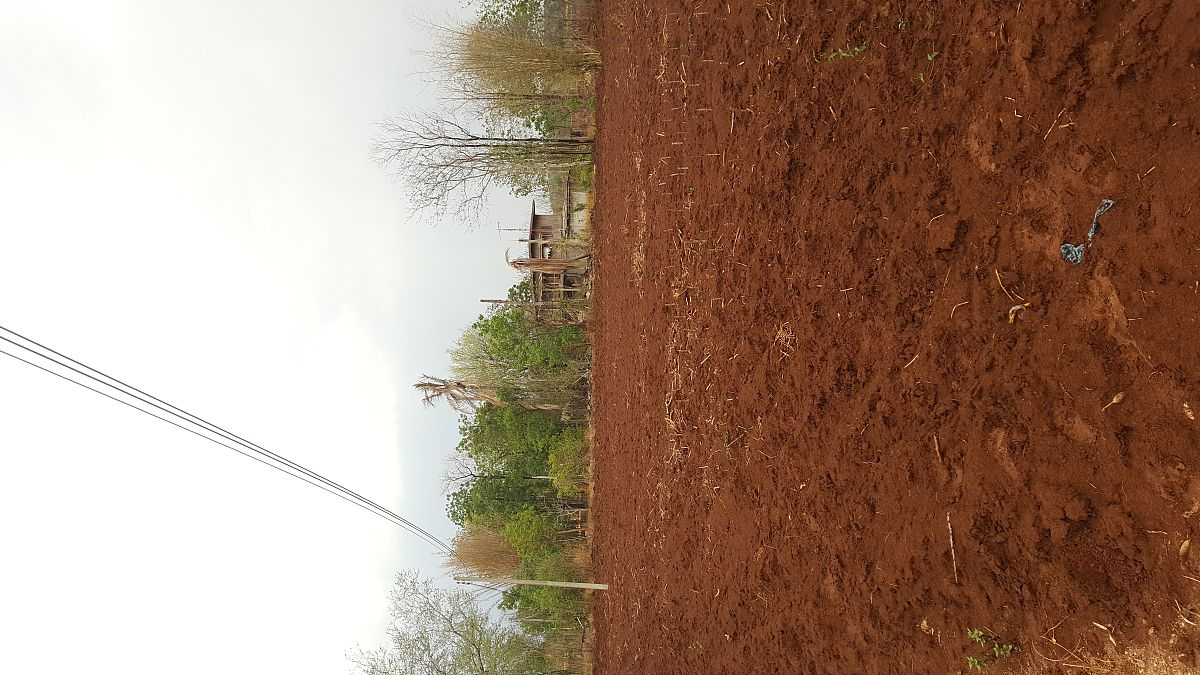 重庆市农业学校2019年招生专业：培养适应农业发展需求的高素质人才