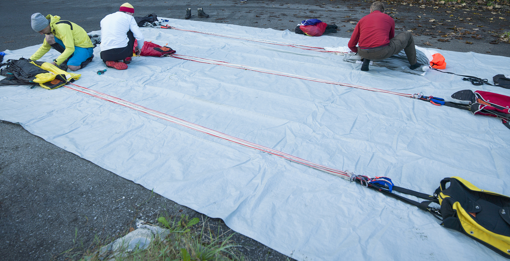 写一个狼王梦的读后感 一定要原创 一定不能少于1000字