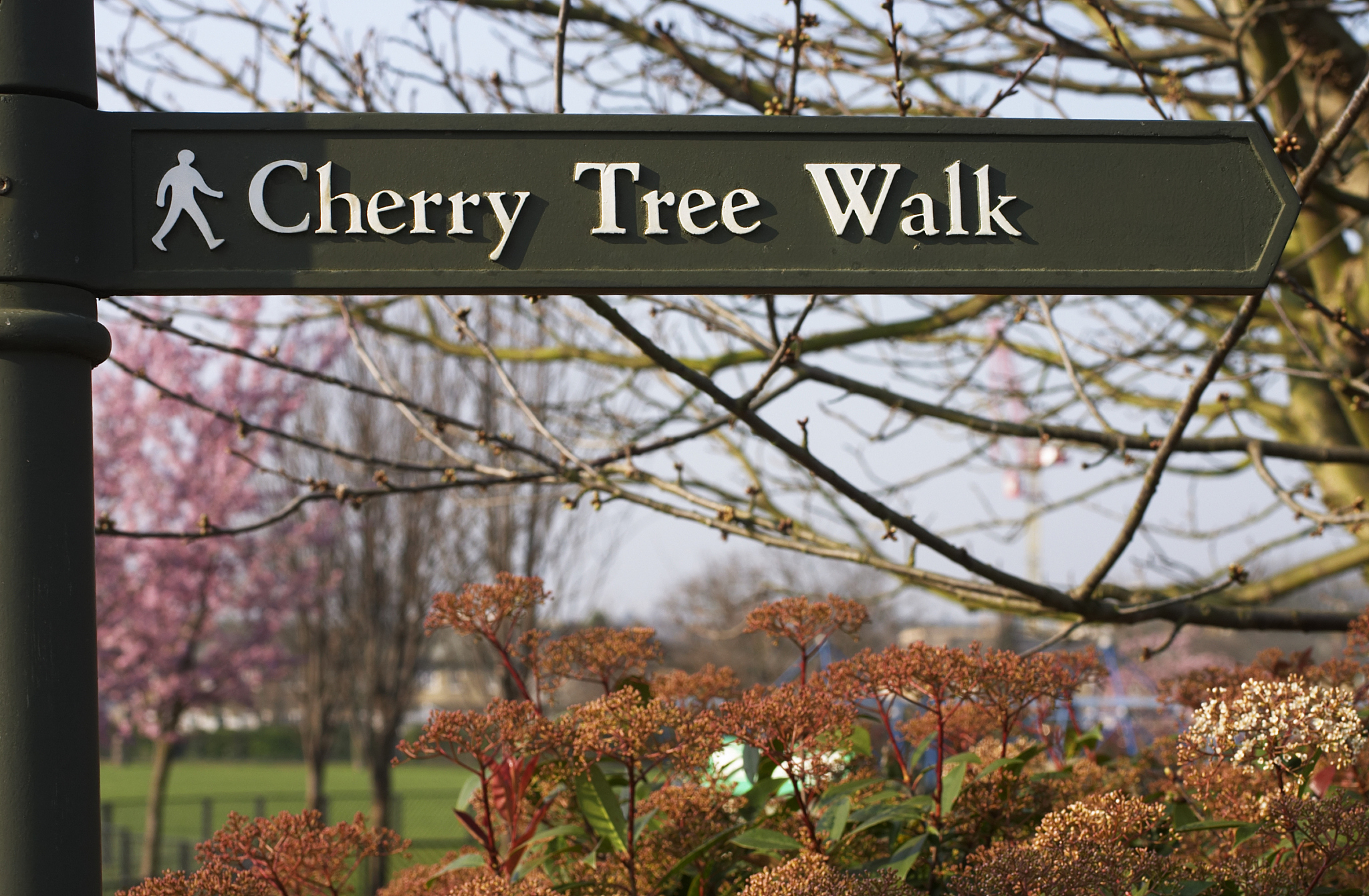 20 Power Words to Describe Springing Forward & Accelerating Success