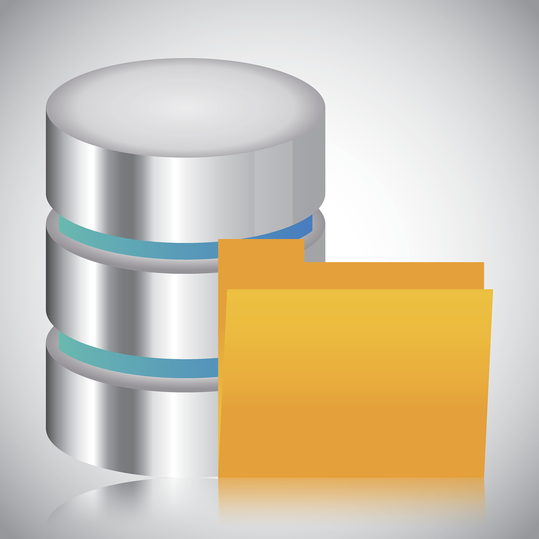 档案制度：文件管理与保护的基石