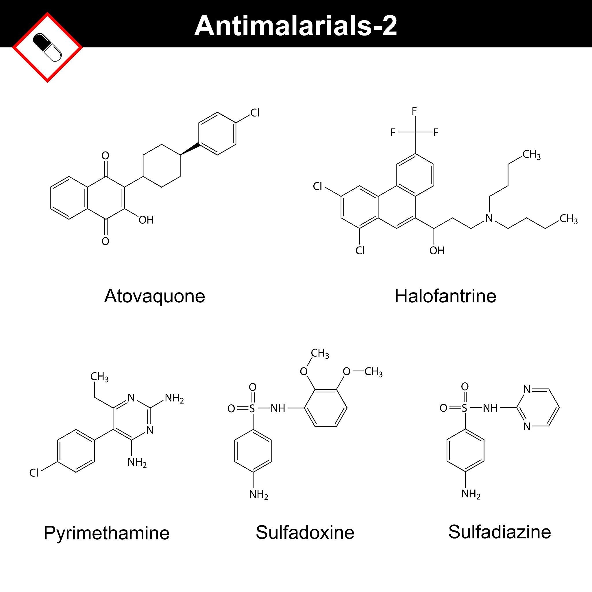 DMI3 基因：蒺藜苜蓿根瘤共生中的关键角色