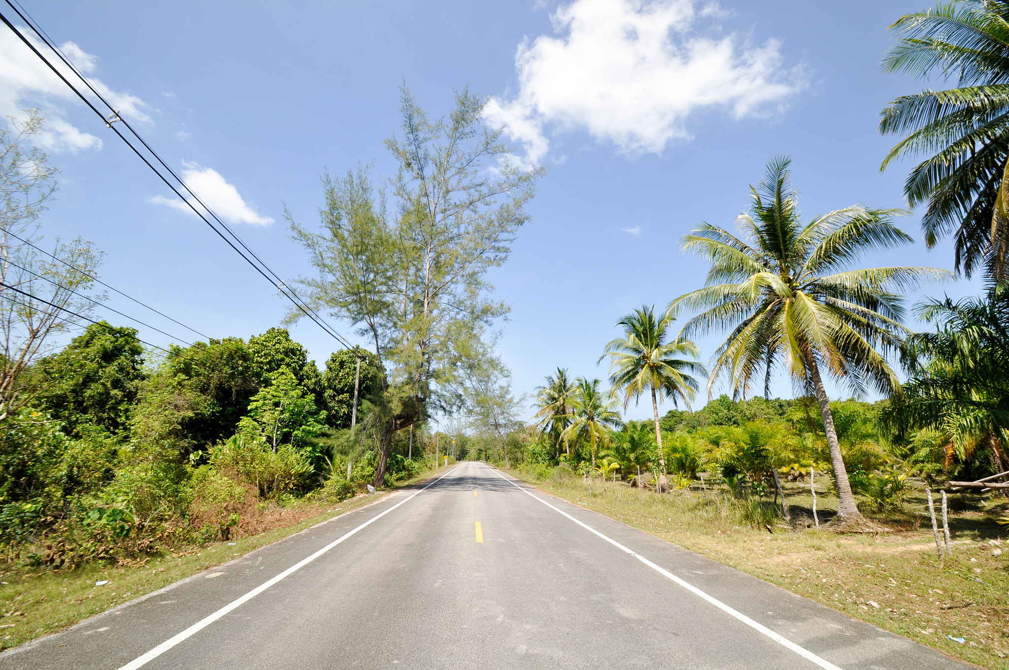公路养护与管理专业详解：发展趋势与就业前景