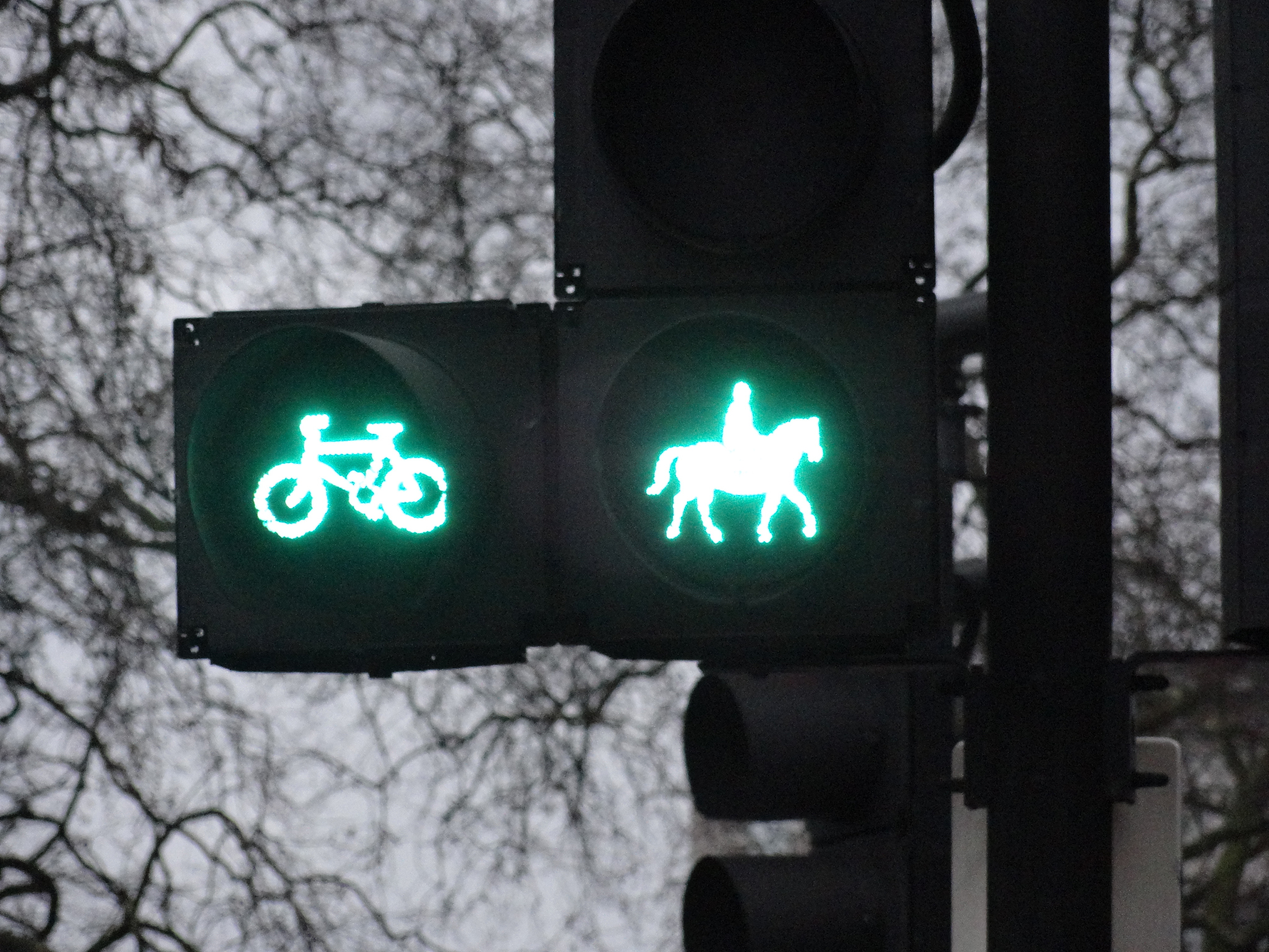 数字信号与模拟信号：区别解析及应用场景 - 深入了解信号传输方式