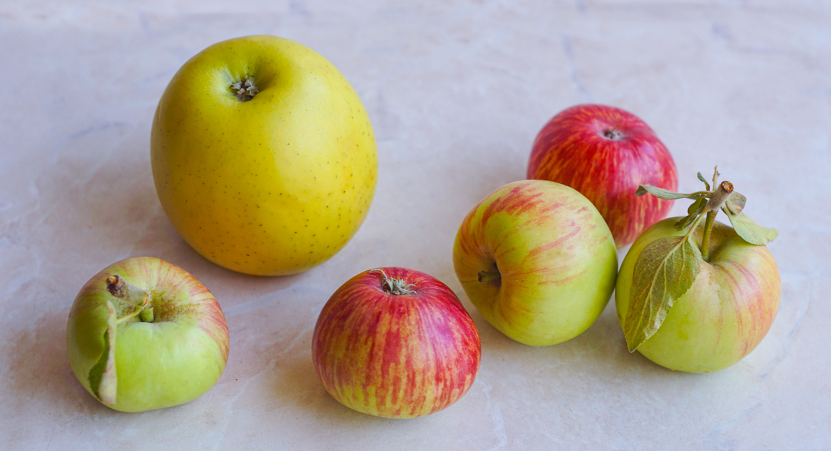 酸苹果的功效与作用：促进消化、降低胆固醇、保护心脏等