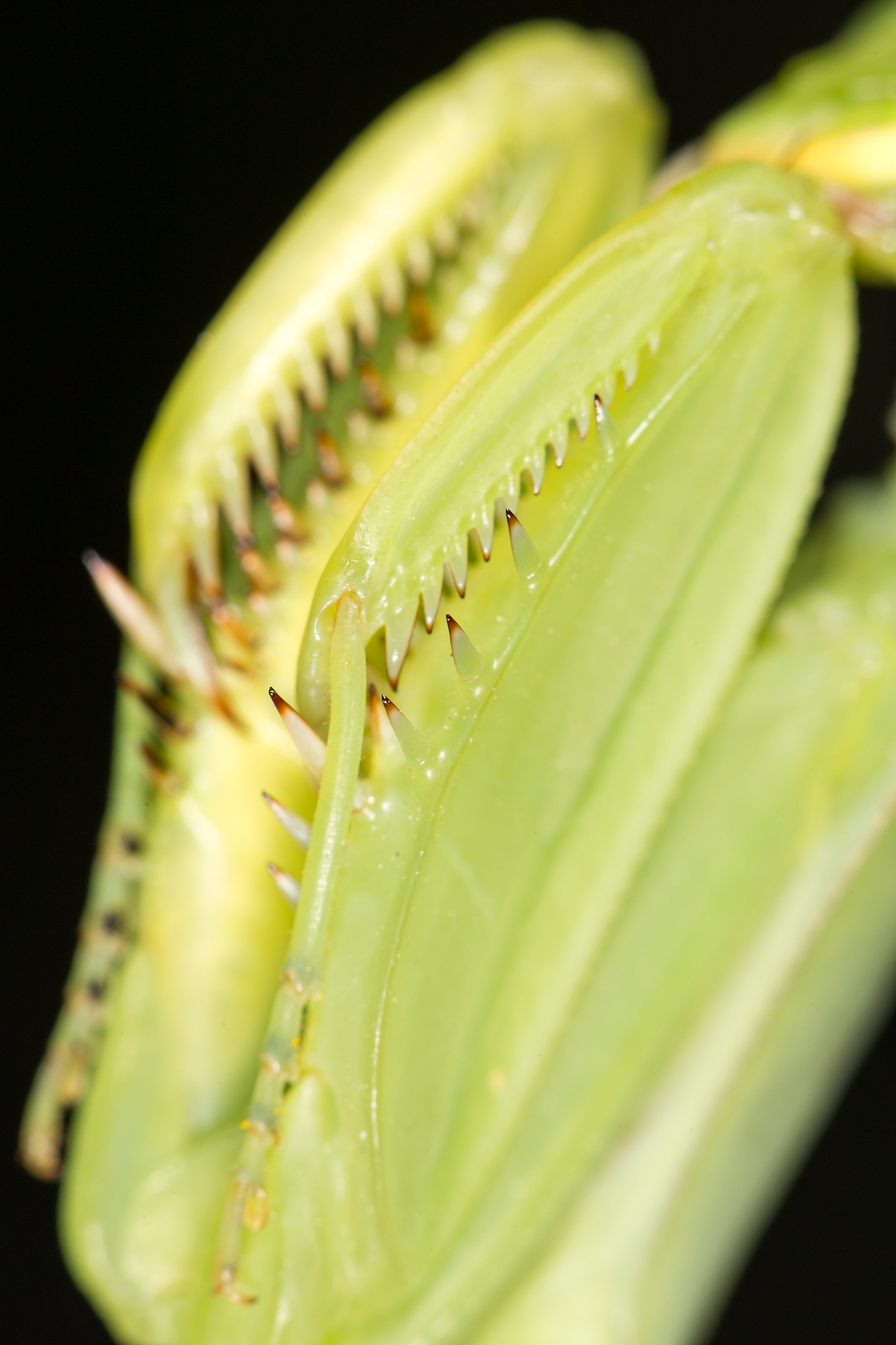 惠州农业学校专业介绍：植物保护、动物科学、园艺等