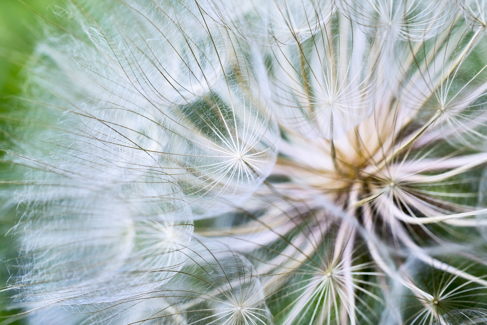 人生模拟器：修仙人生模拟 - 从村童到修仙大师