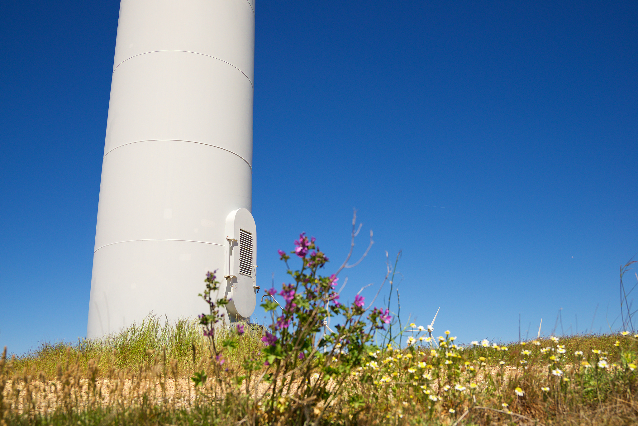 wind energy