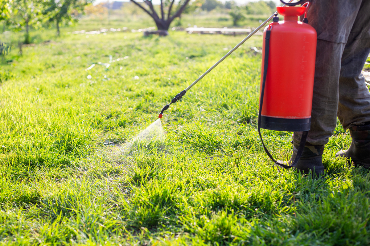 高效除草剂，轻松打造美丽庭院