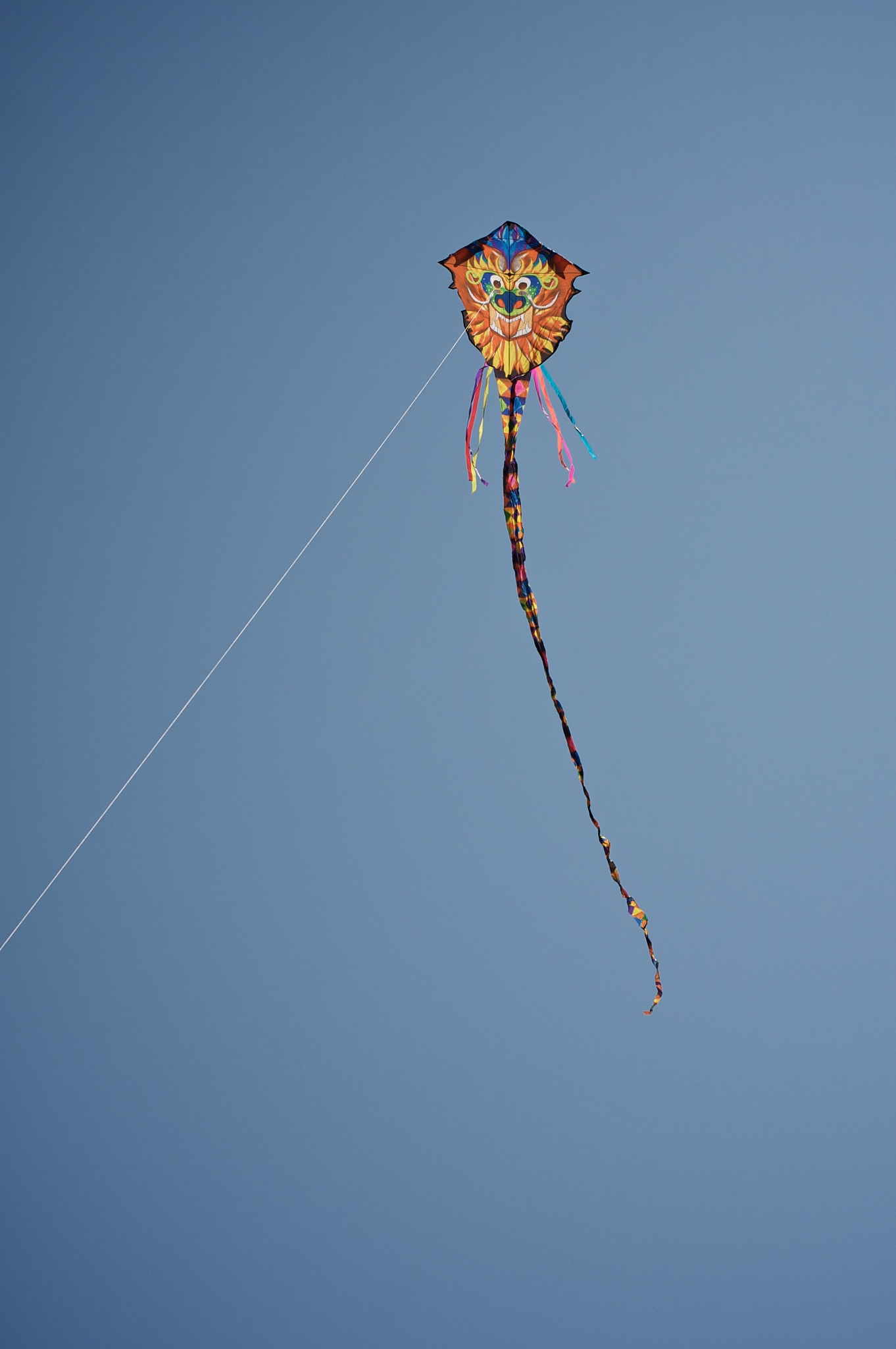 colourful kite in the sky