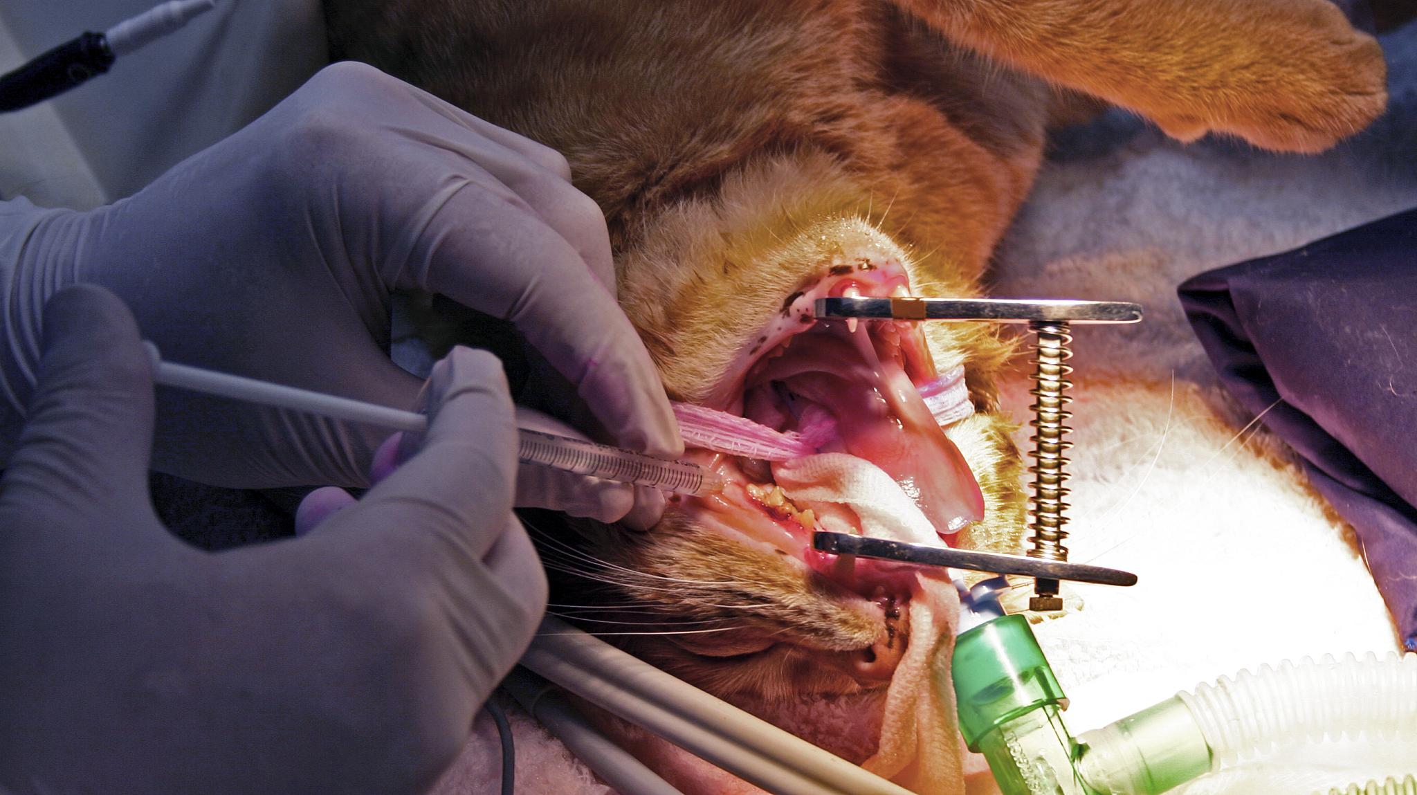 重庆卫生学校2019年招生专业有哪些