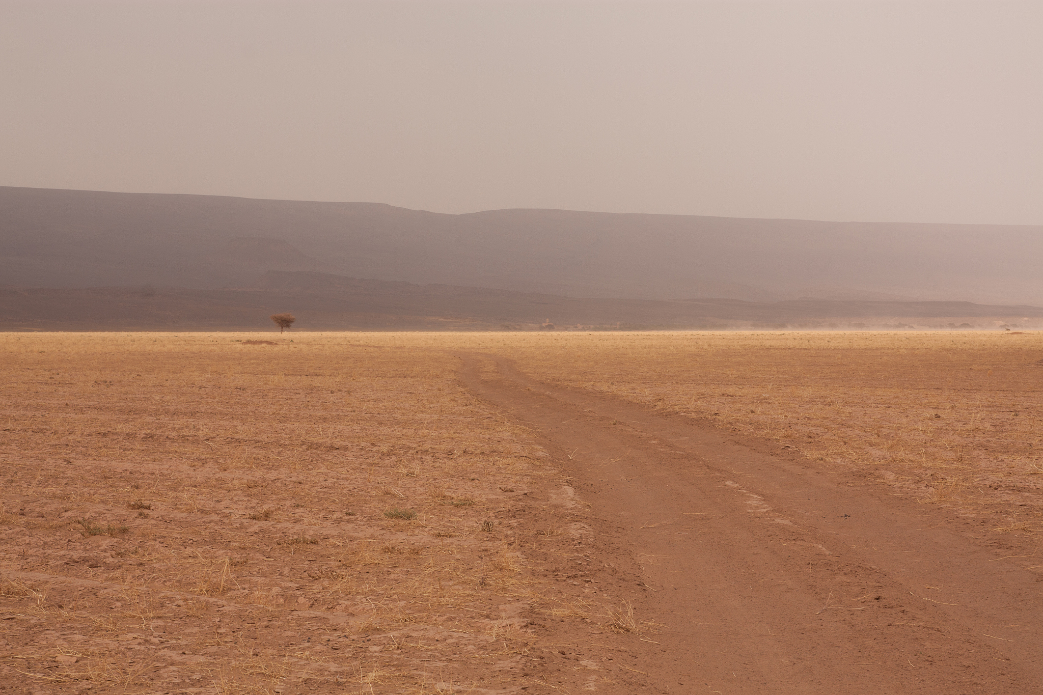arid landscape and mountains against clear sky
