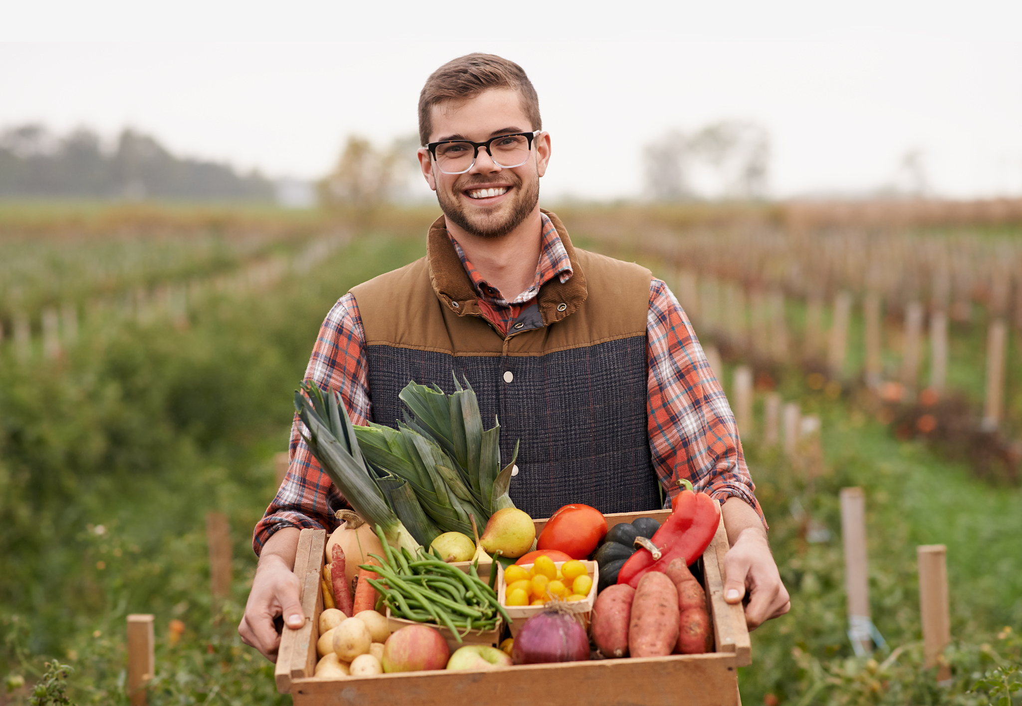 Agriculture: Definition, Importance, Practices & Challenges