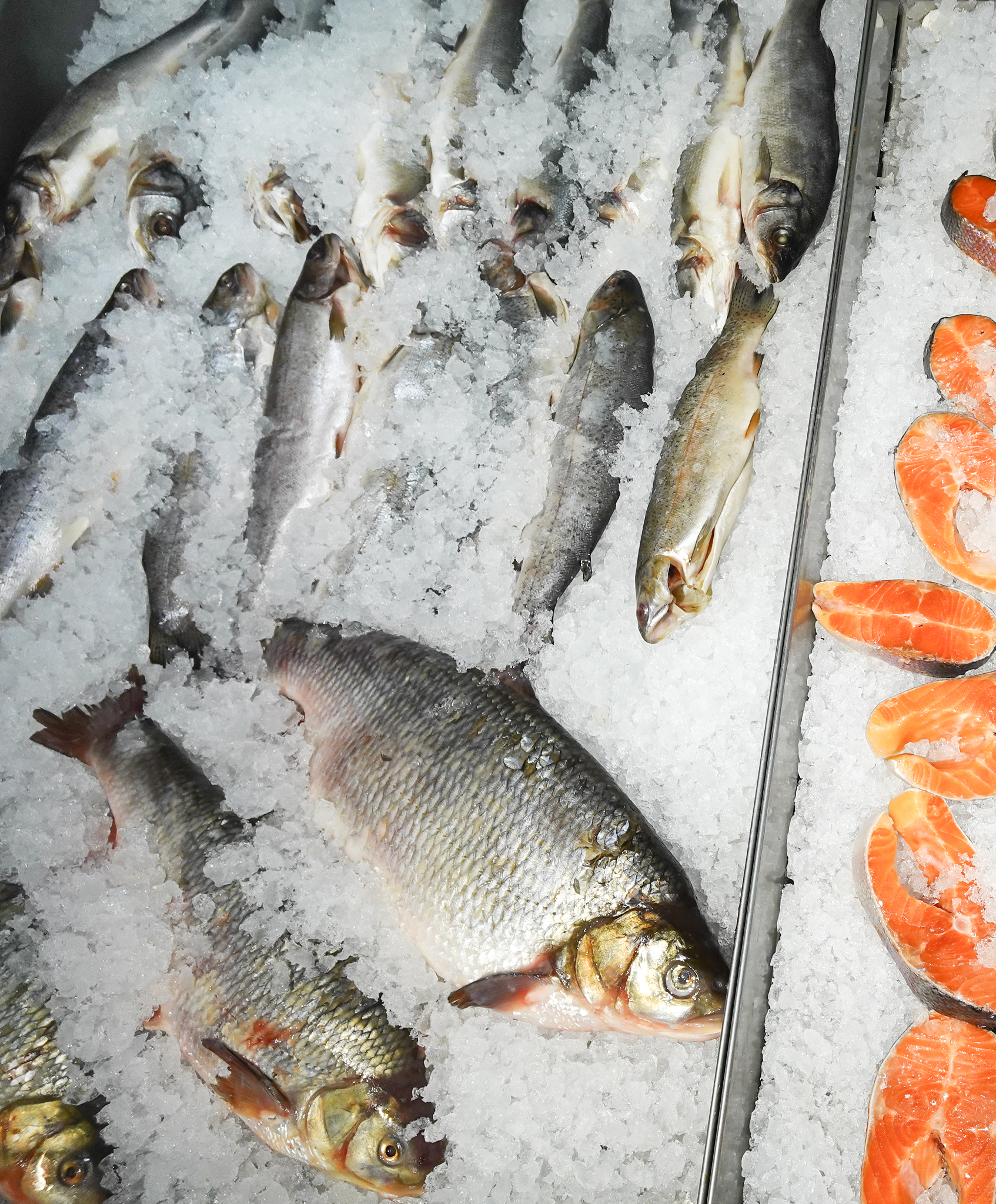 鲜虾肉作饵能钓哪些淡水鱼