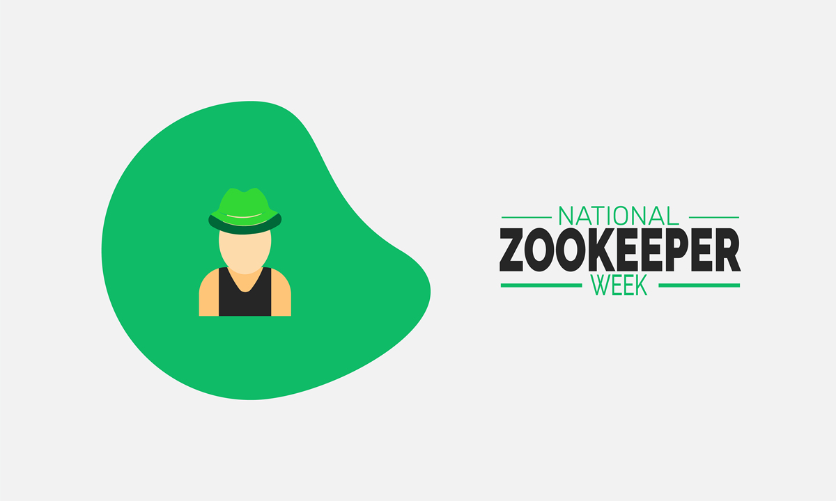 human 电子商务安全体系结构中的角色和层次包含哪些;