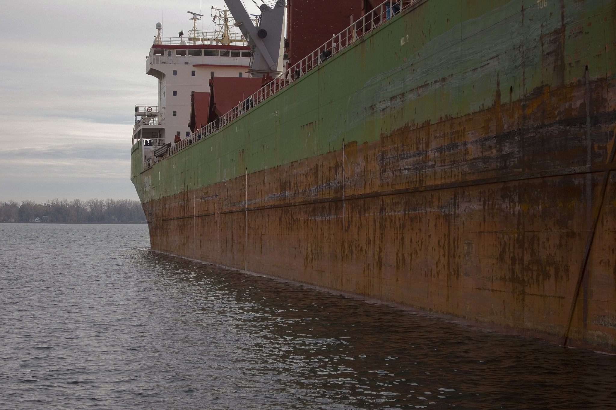 Cargo Hold Inspection Report: Hatch Cover Closed, Starboard Side Cleaned, Standing Water Present