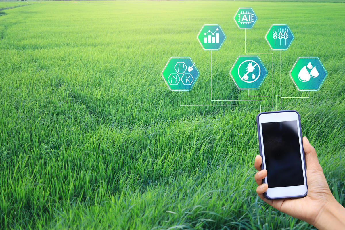 农业信息化困境：计算机应用的挑战与解决方案