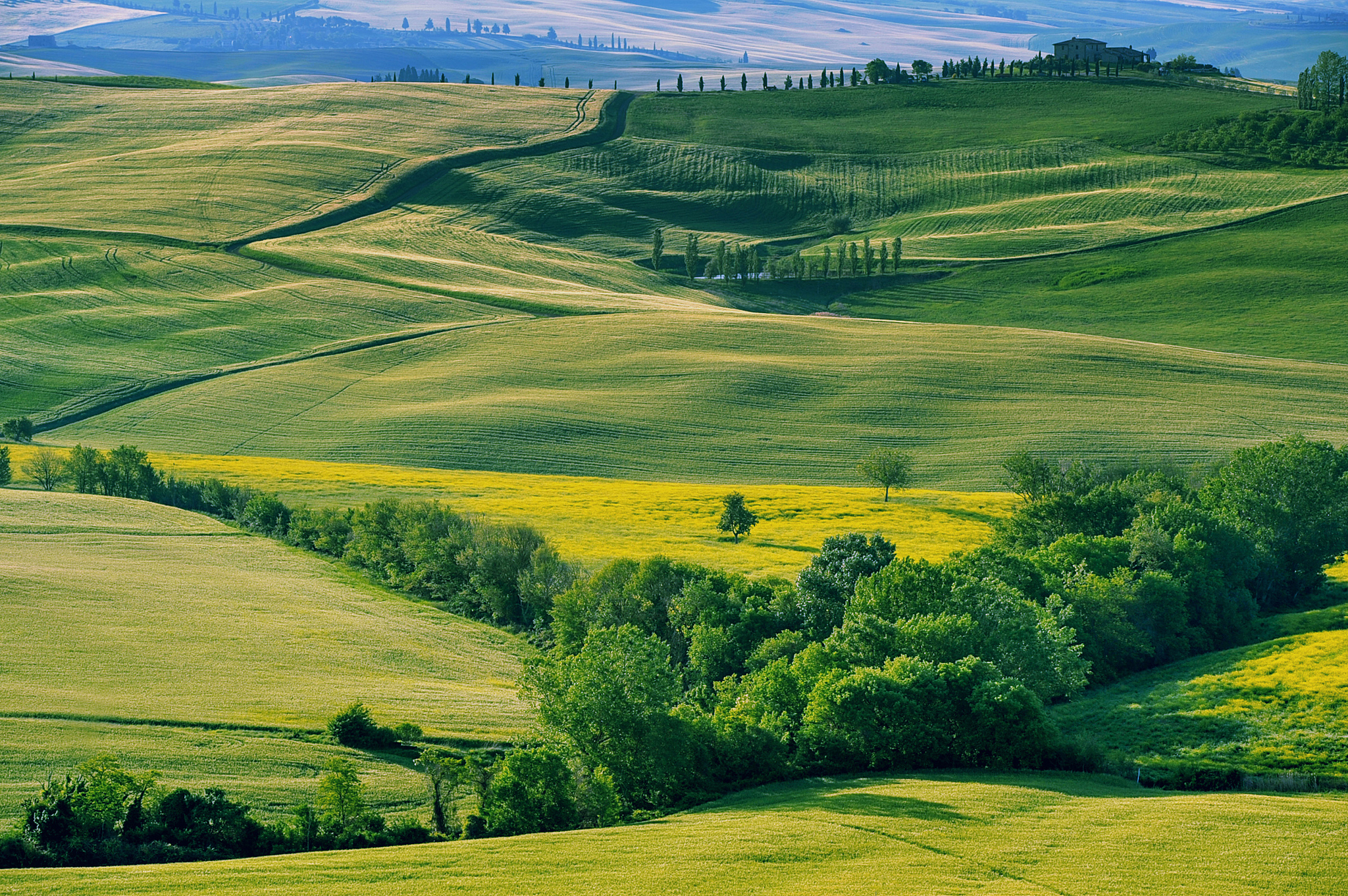 tuscany - italy