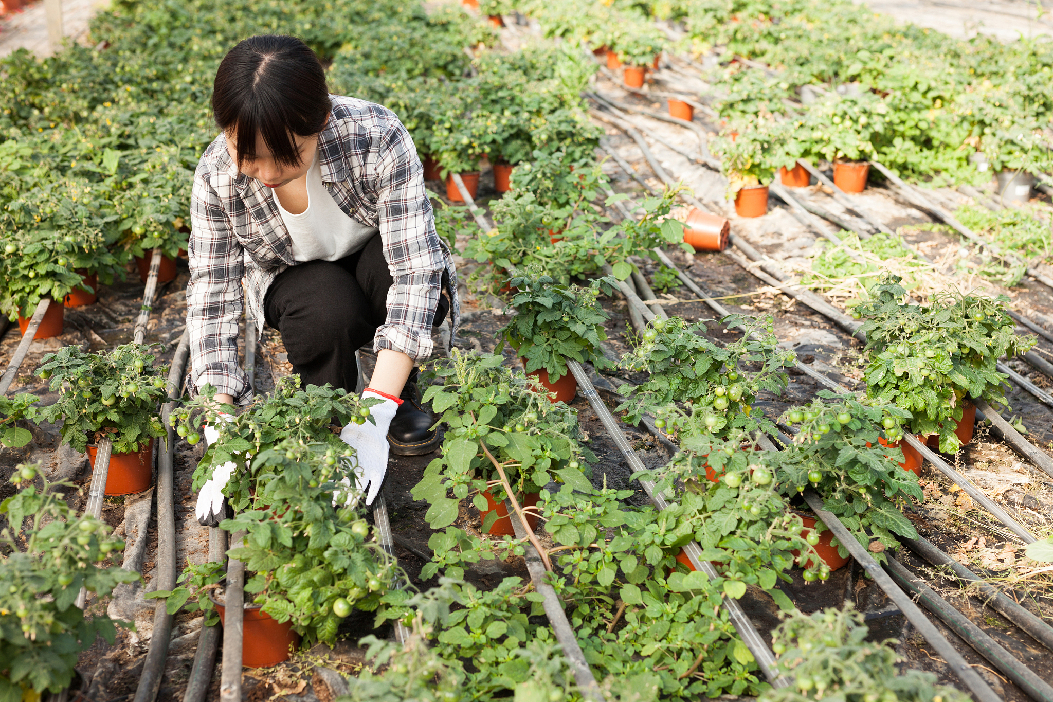 曲靖市农业学校2019年专科招生介绍