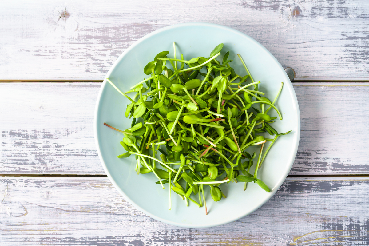 枸杞嫩芽的10种美味吃法，营养丰富，健康美味！