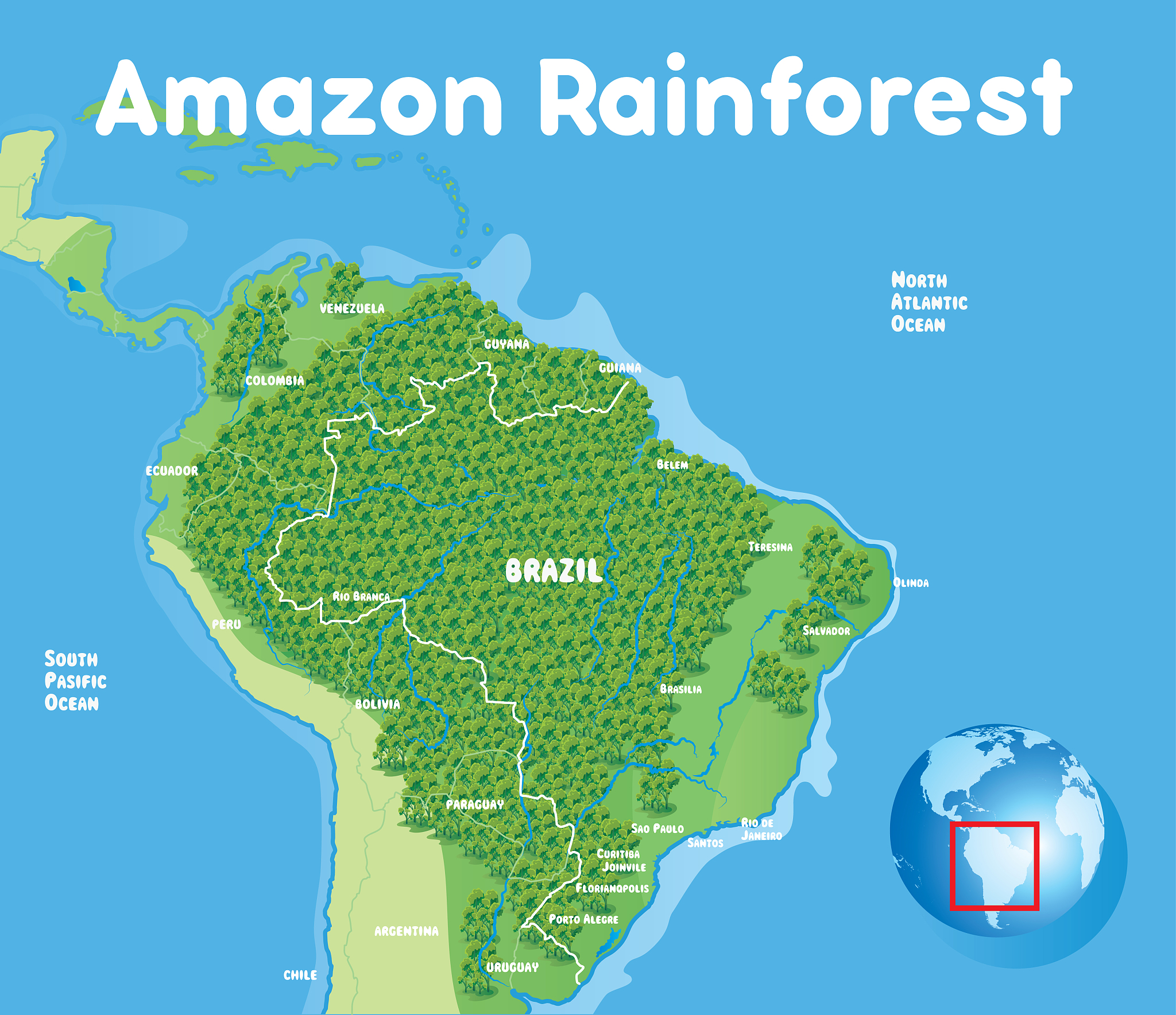 amazon rainforest