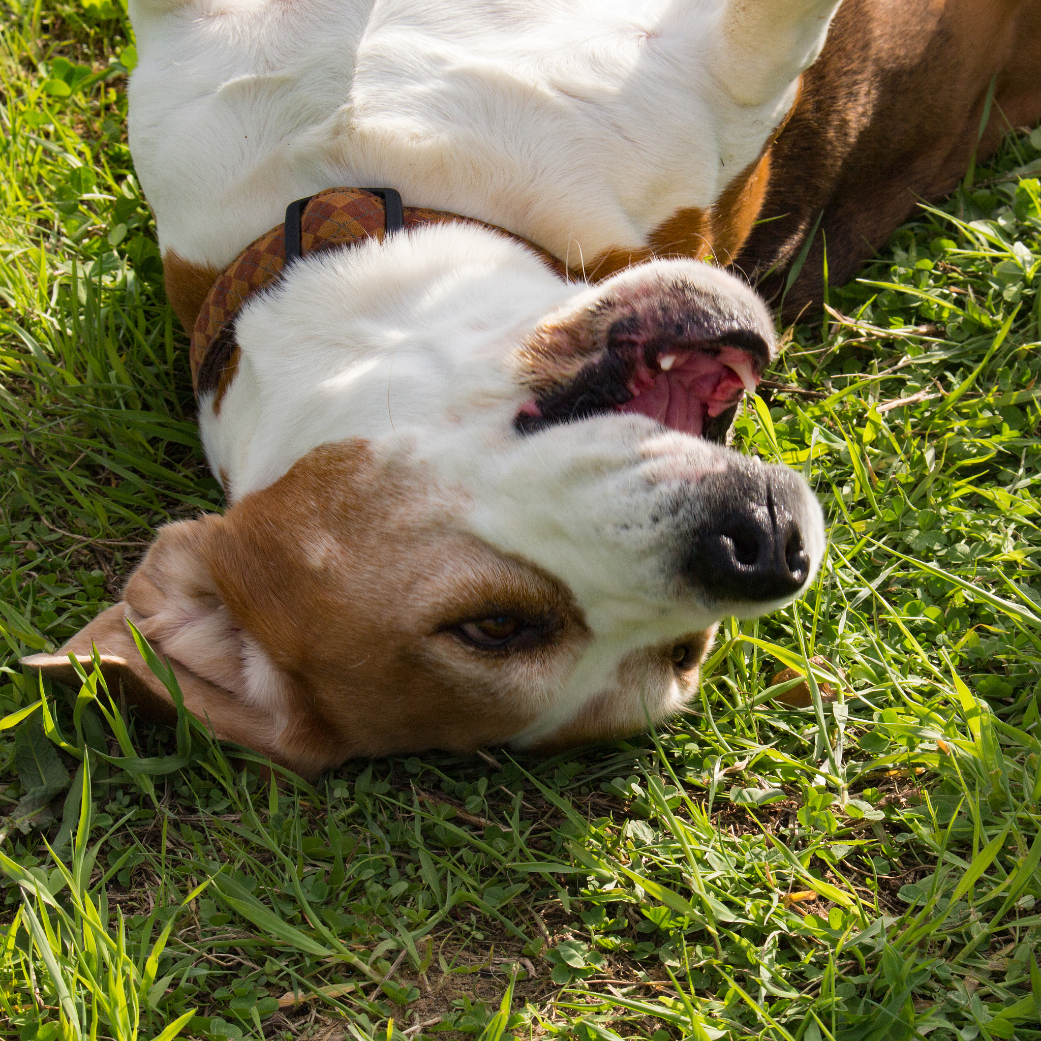 游戏内存修改器 - 轻松修改游戏数据