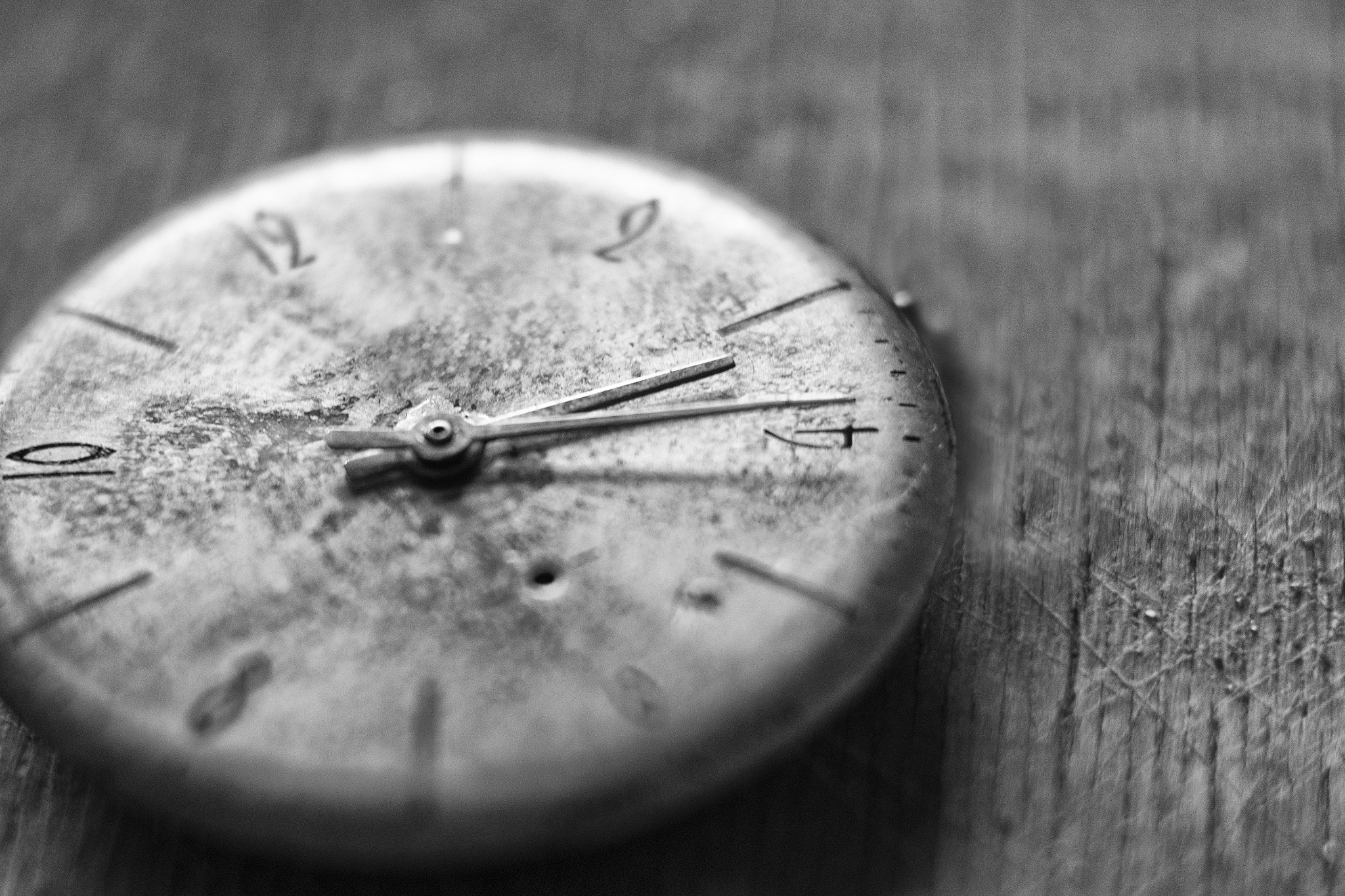 钟表与谎言：一个关于真诚与改变的故事