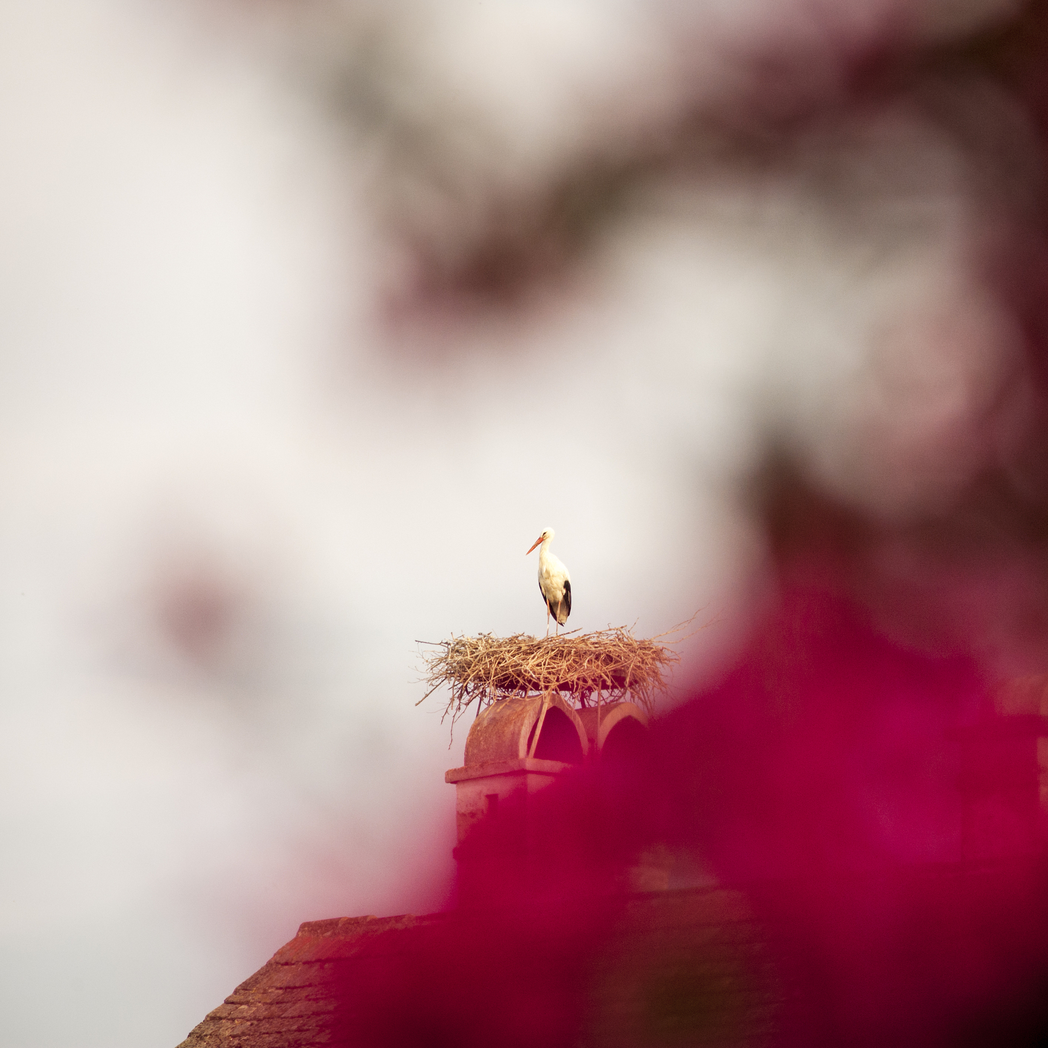 如何放下执念？7个方法助你摆脱执念，获得内心平静