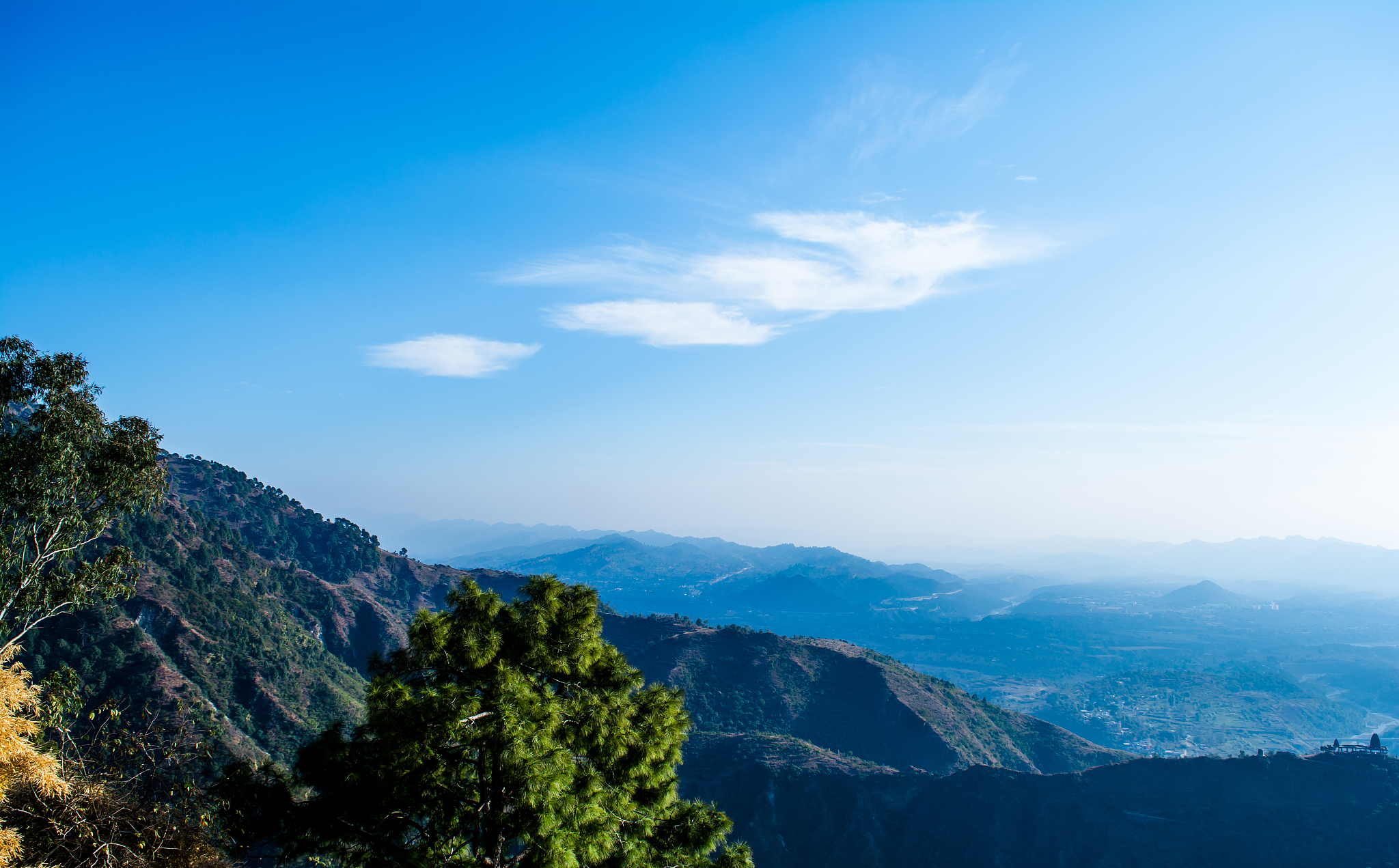 四川托普信息技术职业学院互联网金融互联网+新兴专业专业报考条件