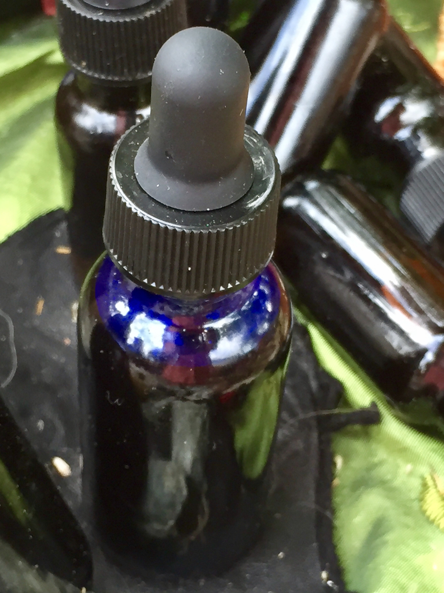 如何調制金屬味香水？5種關鍵成分揭秘