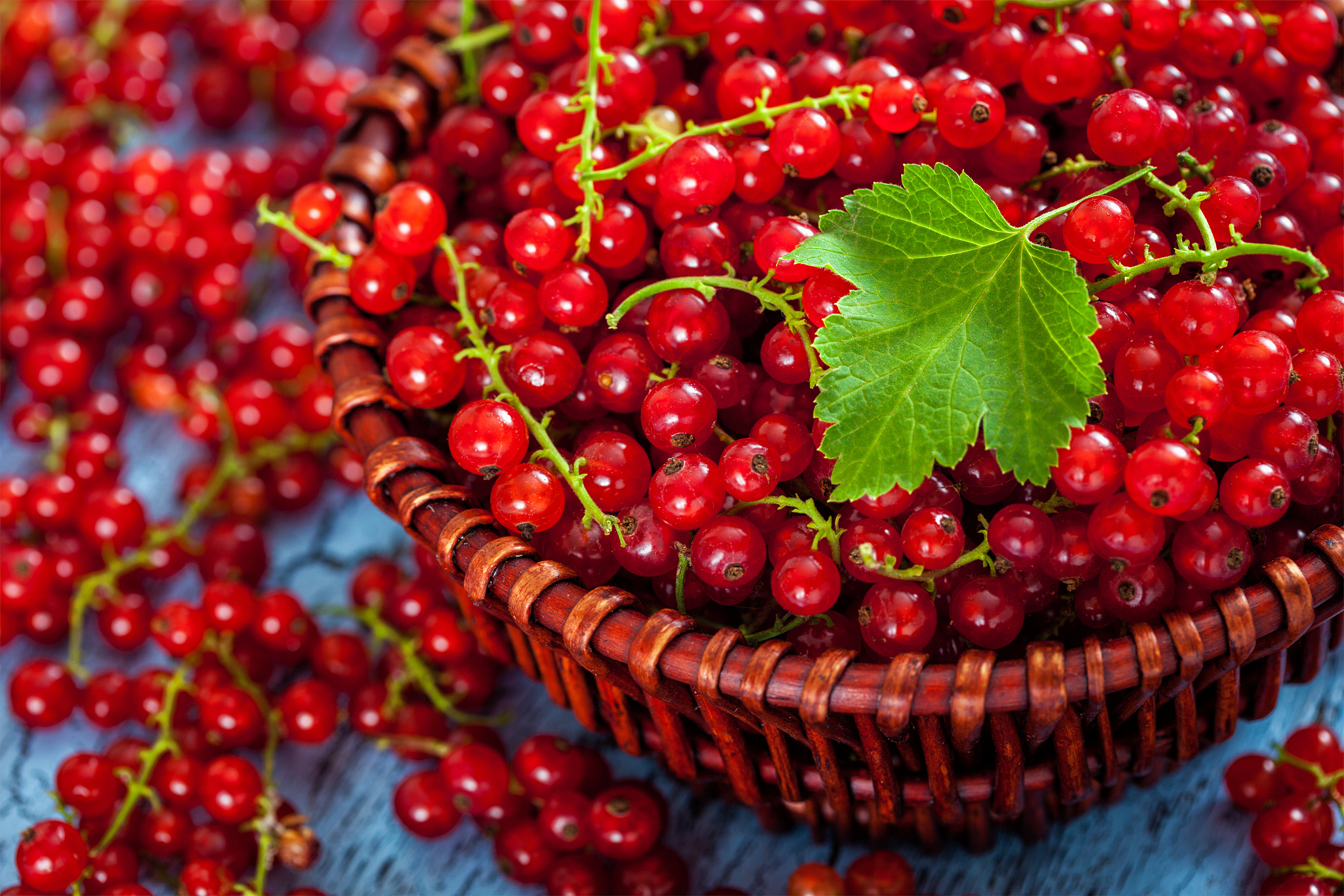 redcurrant in wicker bowl on the table