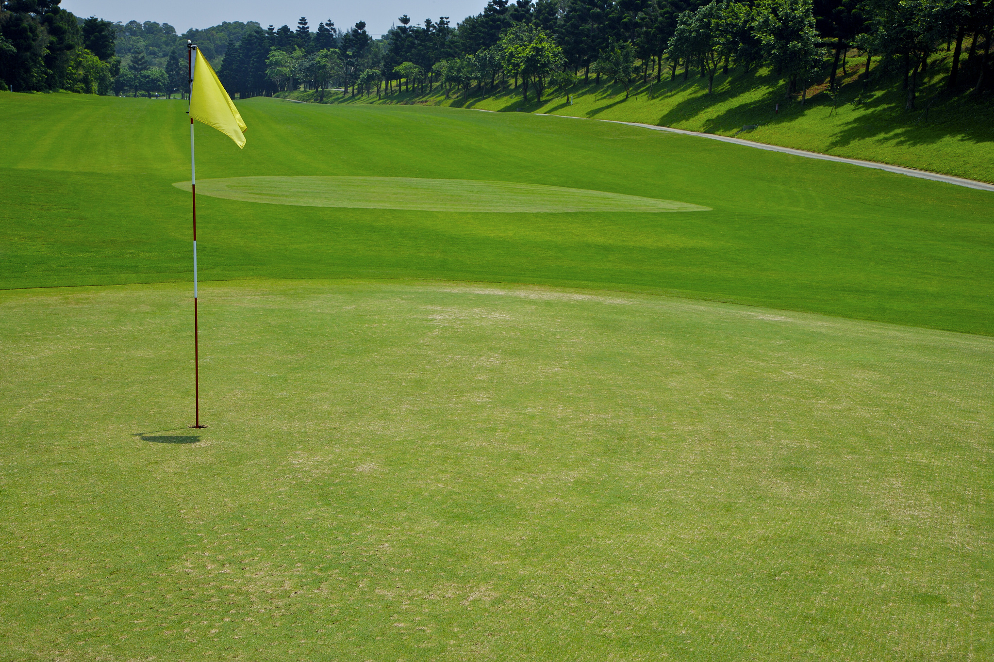 Prestige Premium Bentgrass Blend 和 Pure Distinction 让客户满意。Tee-2-Green 业务中最好的农民生产的最高品质的翦股颖