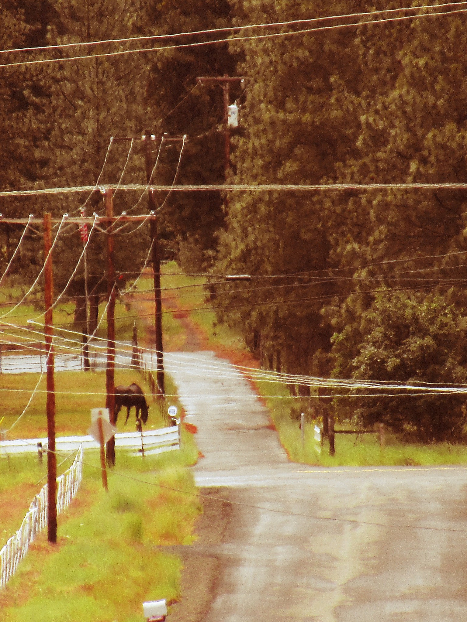 五星单杆营销的卖点