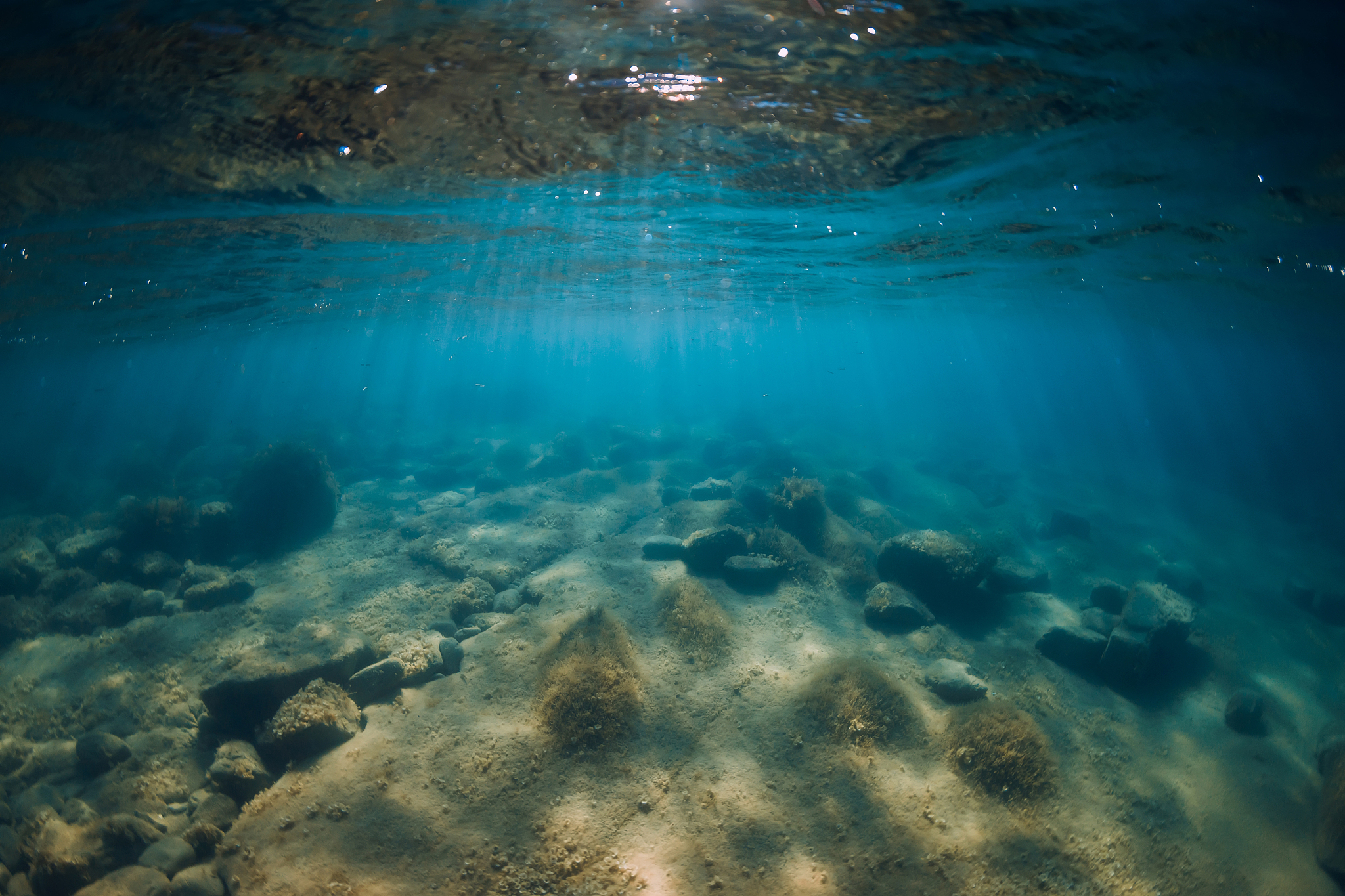 underwater view with stones and seaweed in transparent sea. sunl