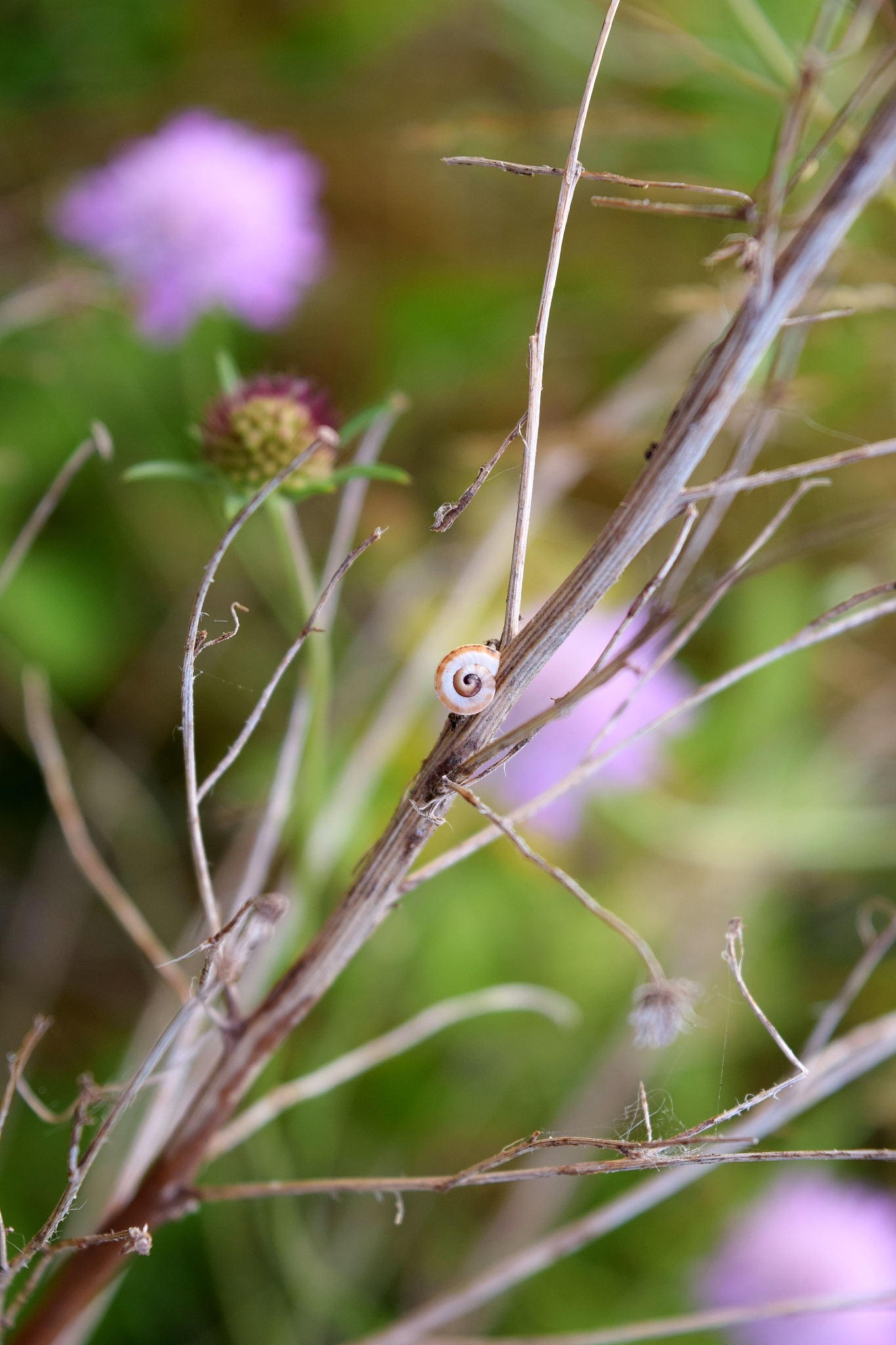 MIUI13 开机自动开启热点设置教程