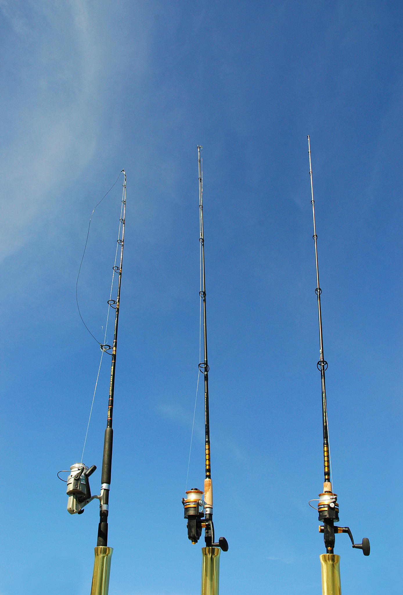 rods and reel
