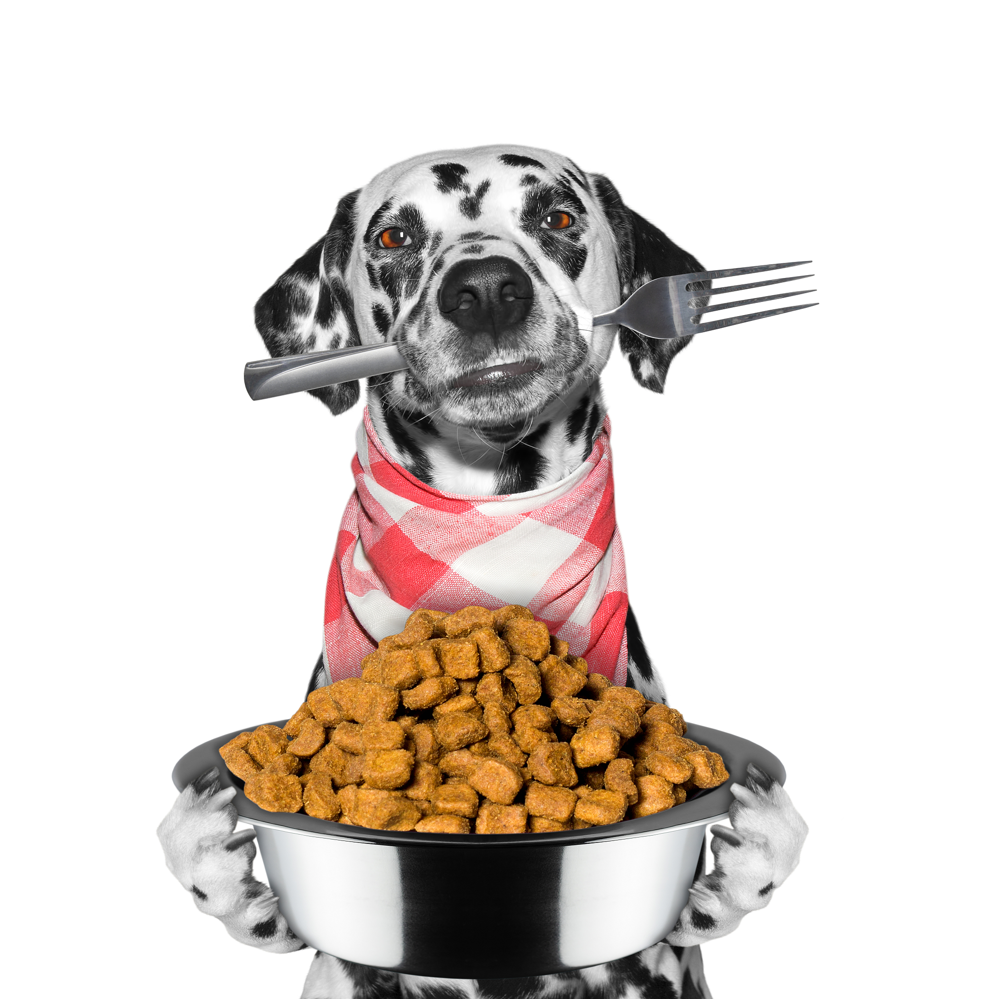 请根据下面的模板写一份相似的文案 描述更有代入感和诱惑力文字数量大致相同这是我家30岁孩子最爱吃的脆肉每周我都要给他做上七次