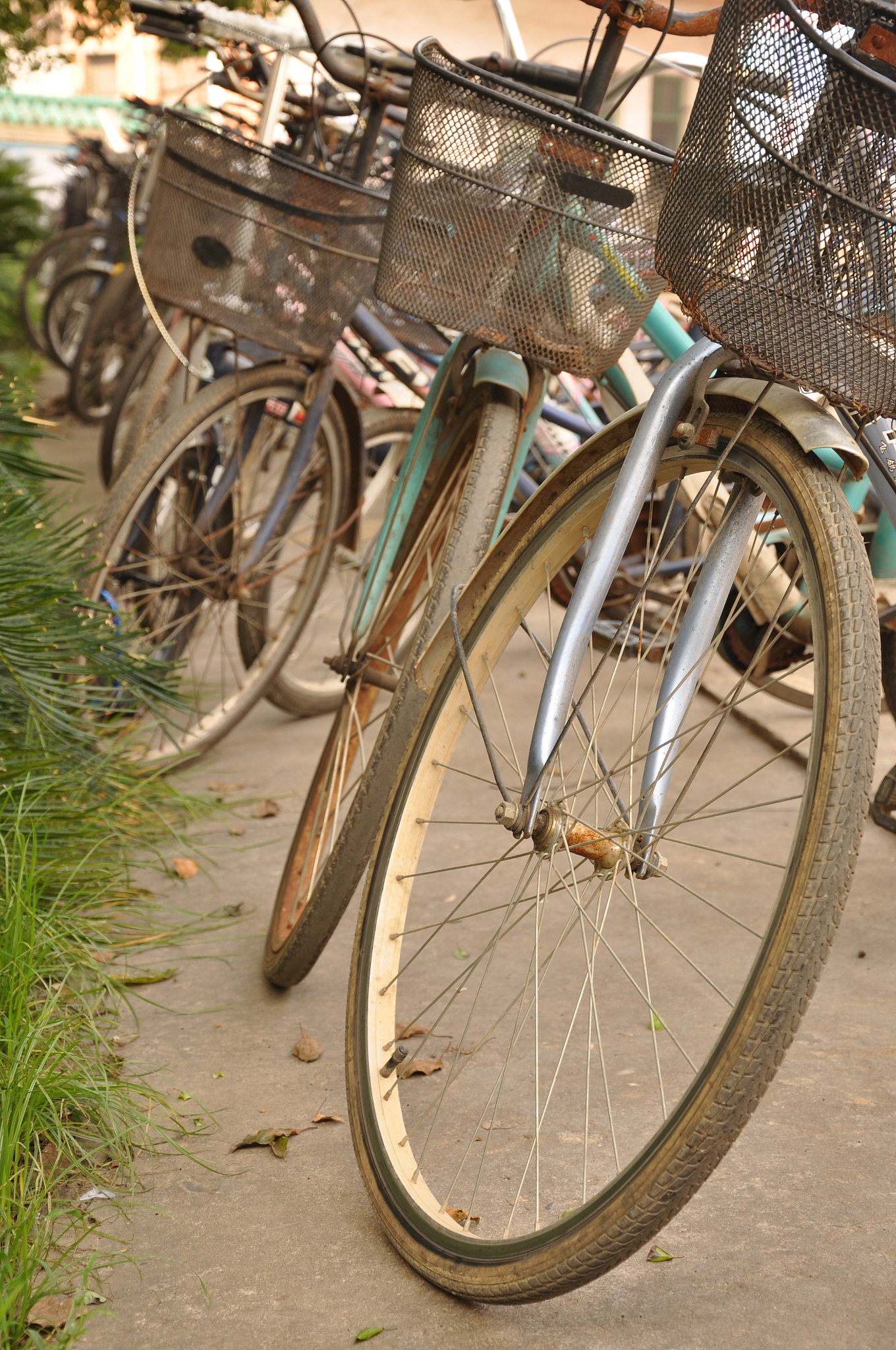 商丘骑行汝阳：24速永久自行车路线规划及安全指南