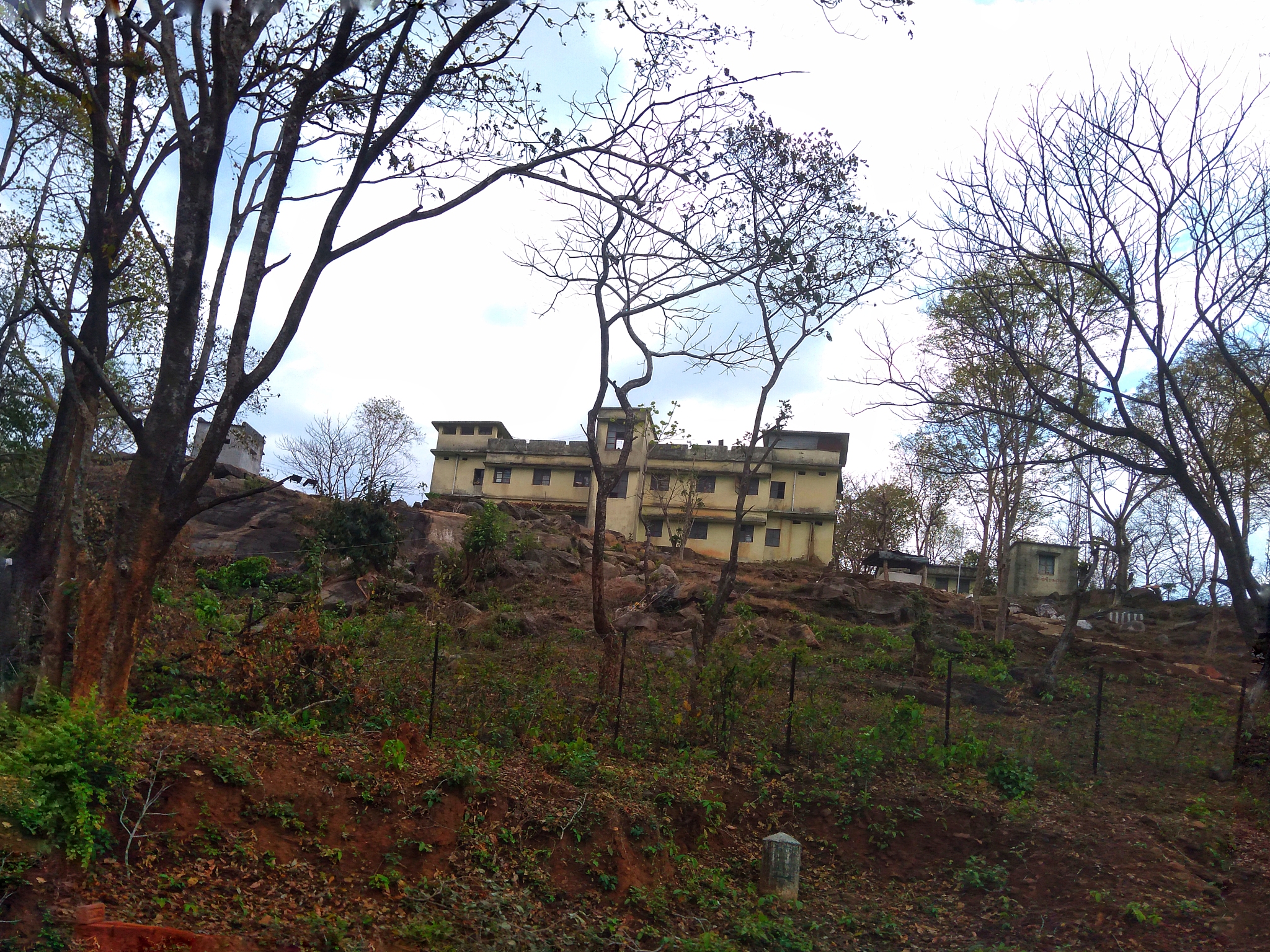 武汉市新洲区旧街街石咀村的简介