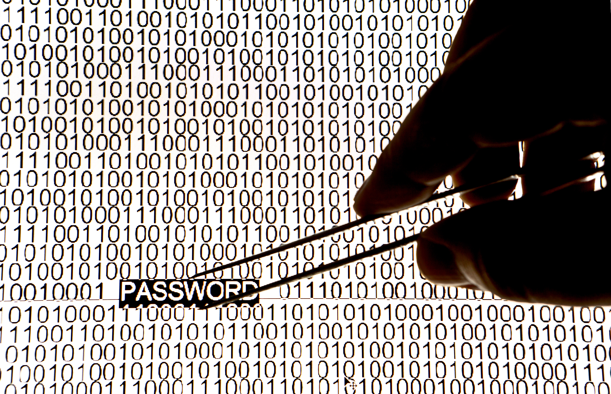 network security