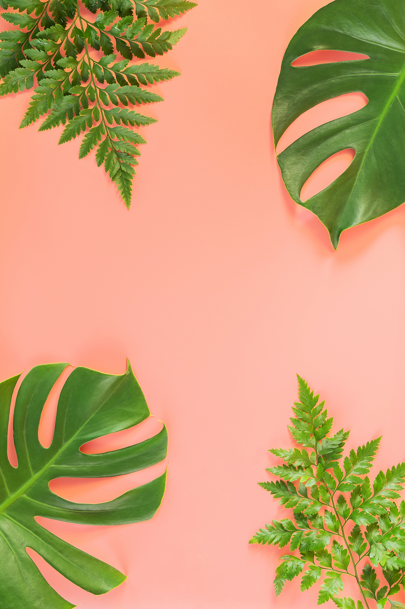 前端写一段js代码要求是显示点过的那个元素的边框用粉色显示点过的每个元素都显示