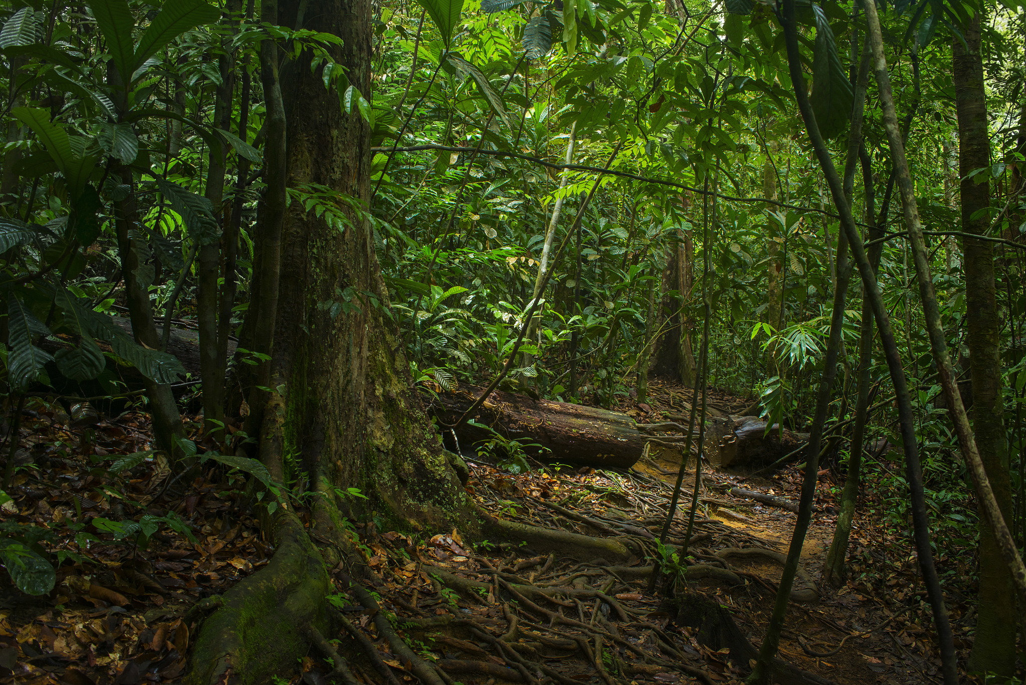 我是说空气潮湿的回南天