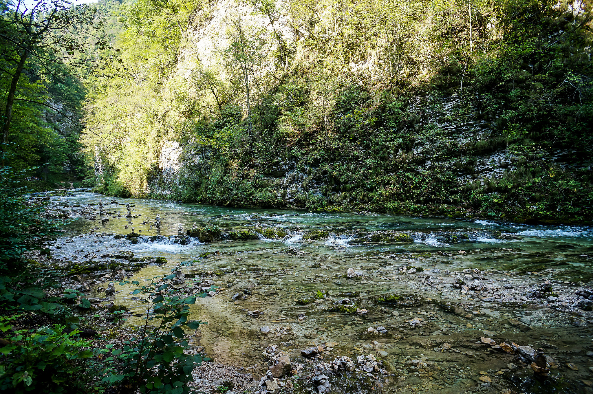 river in forest, digital photo picture as a background