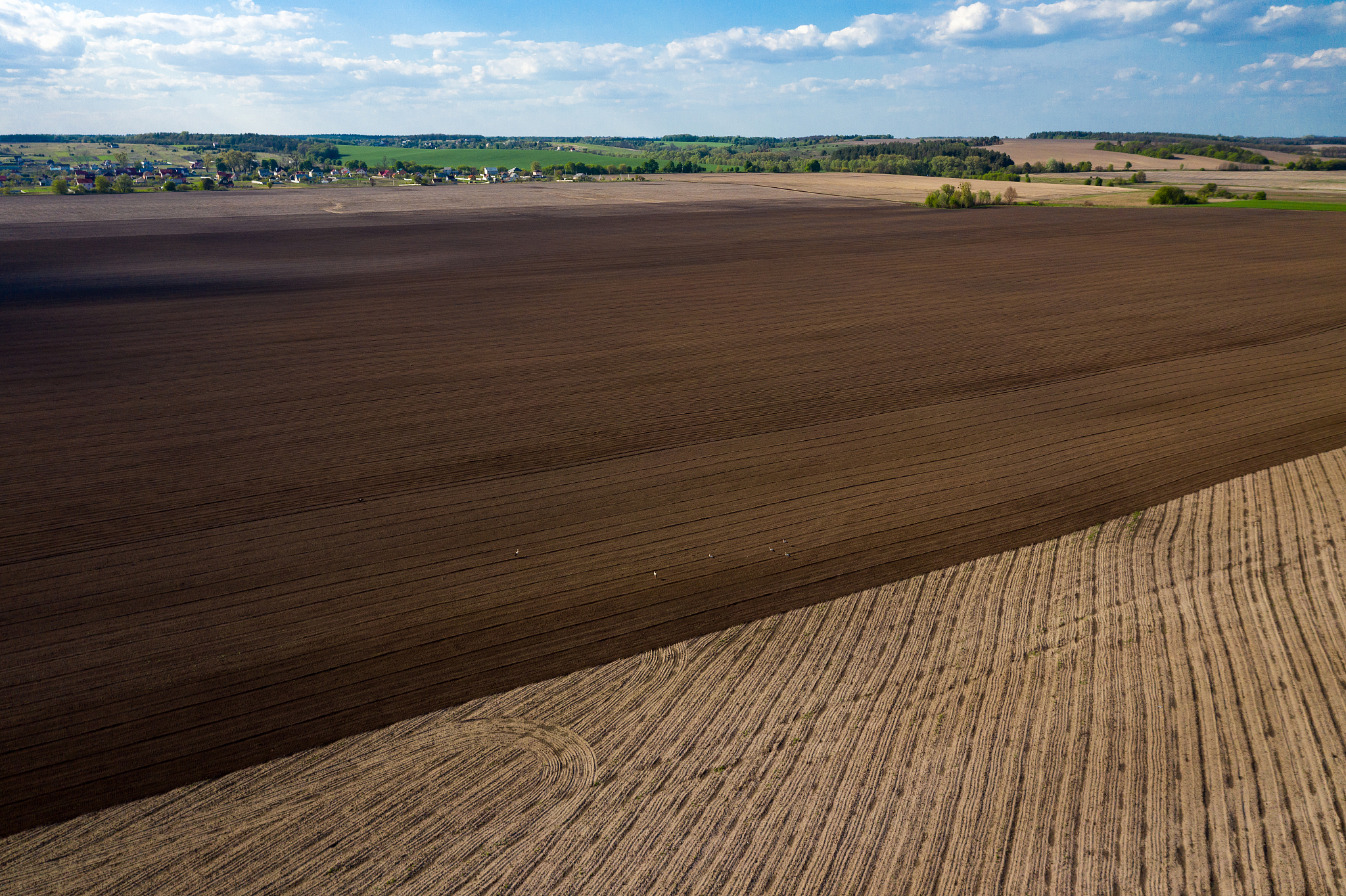 farm plowed field in spring