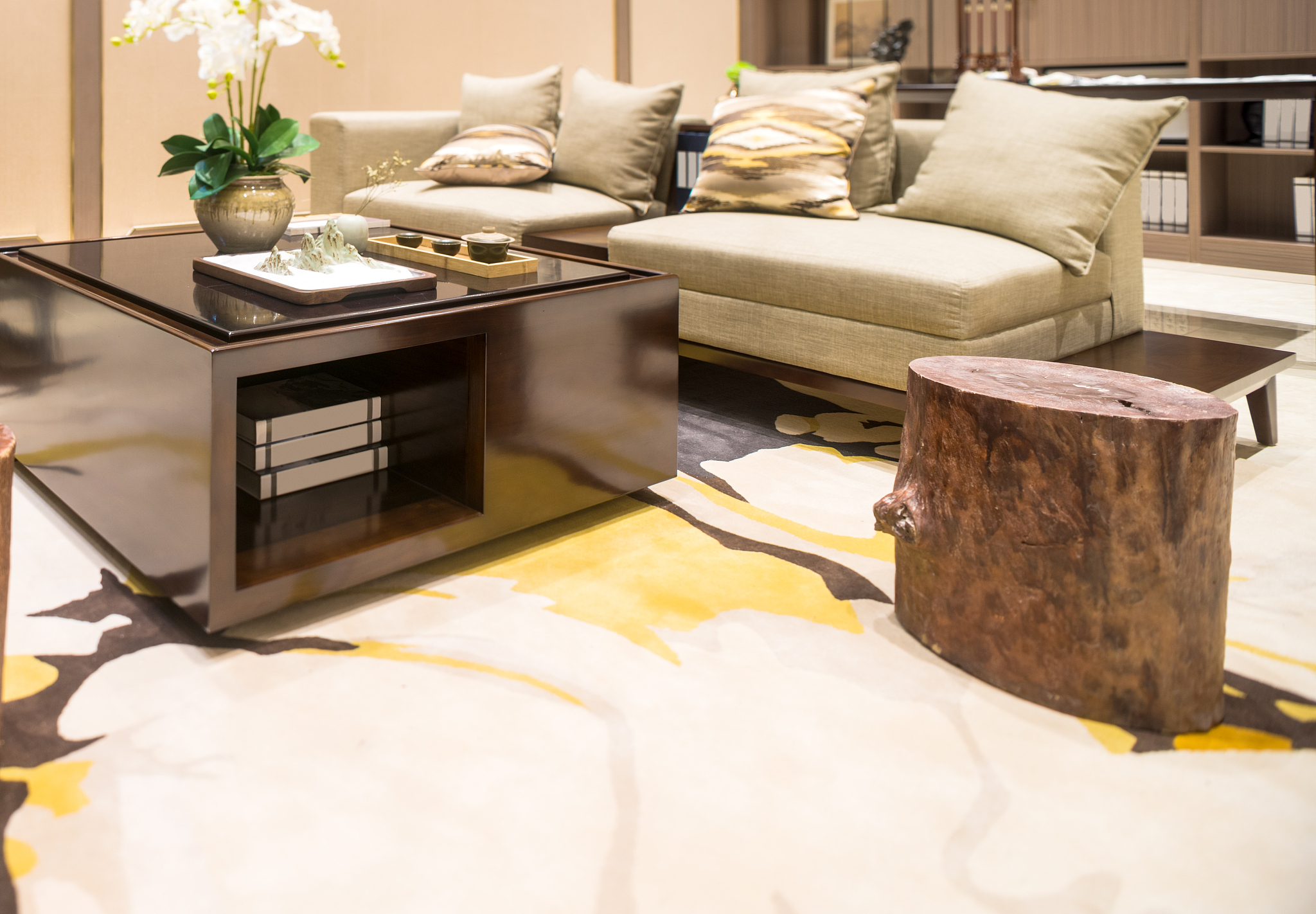 modern living room interior