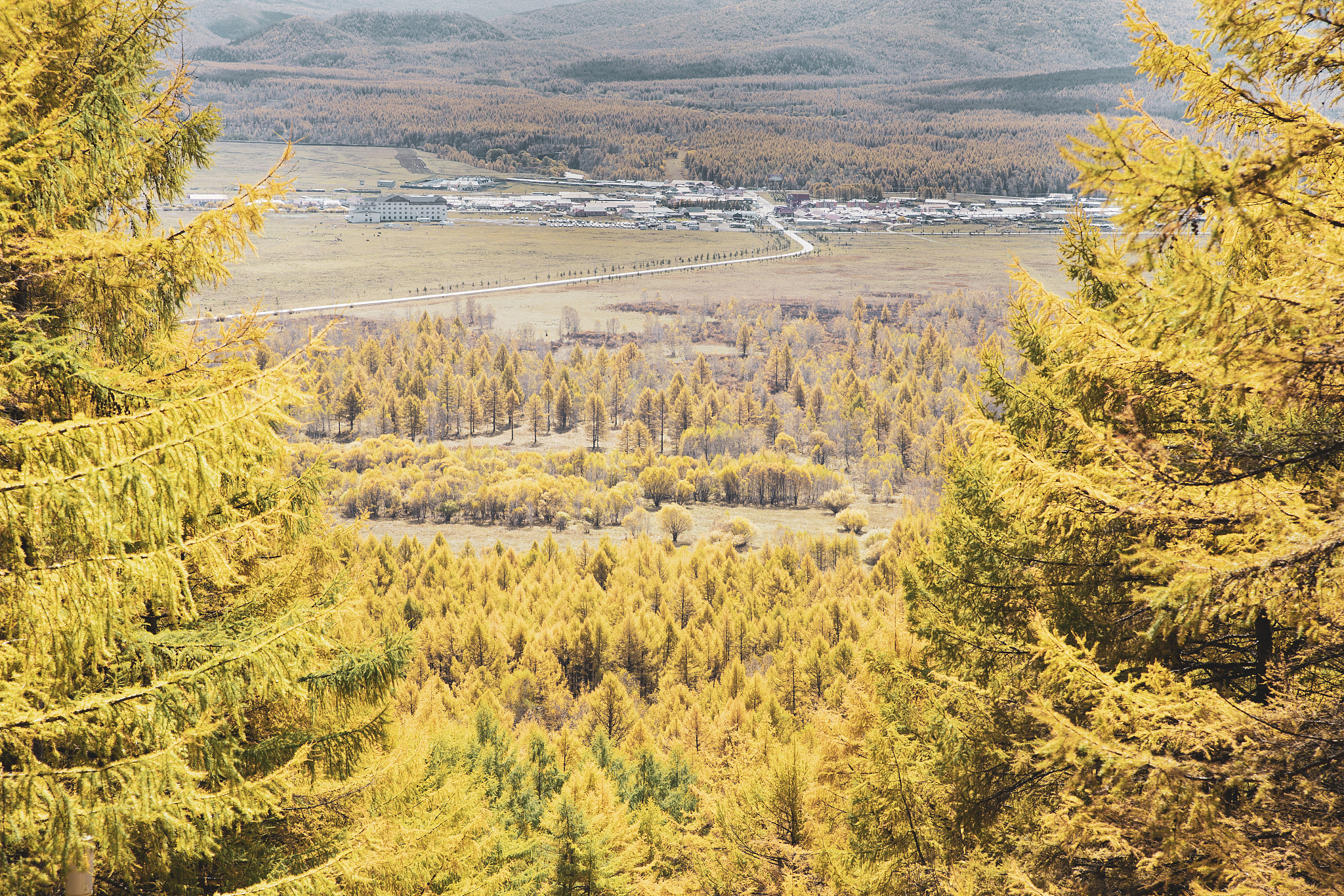 观音土作者冯有森的简介