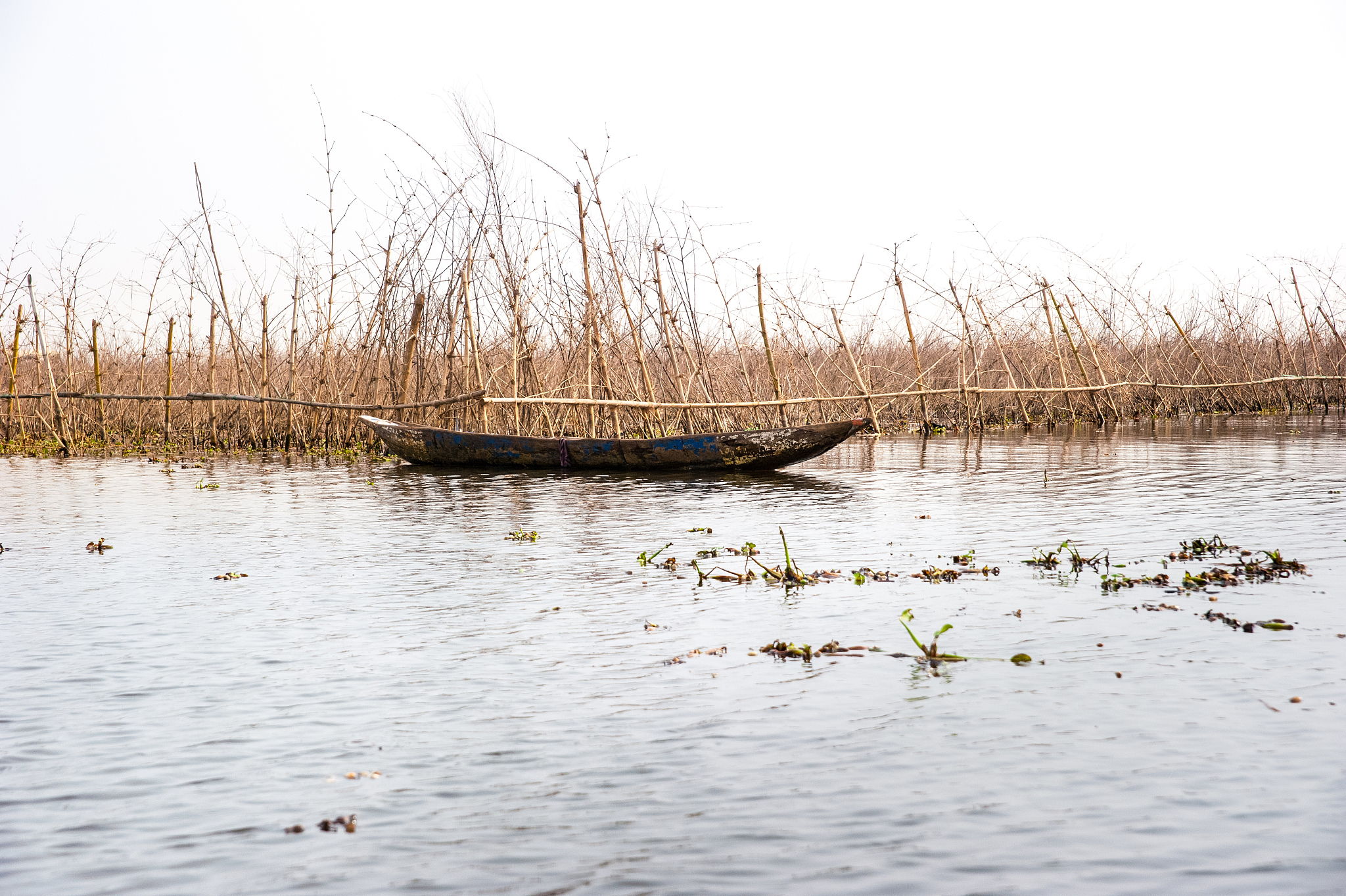 fish farm at lake nokoue, benin